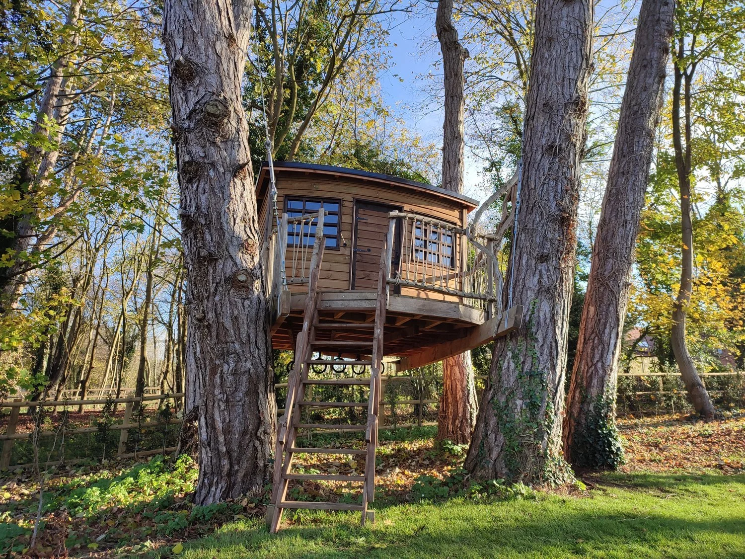 10 innovative tree house designs — Treehouse Builders UK | Treehouses ...