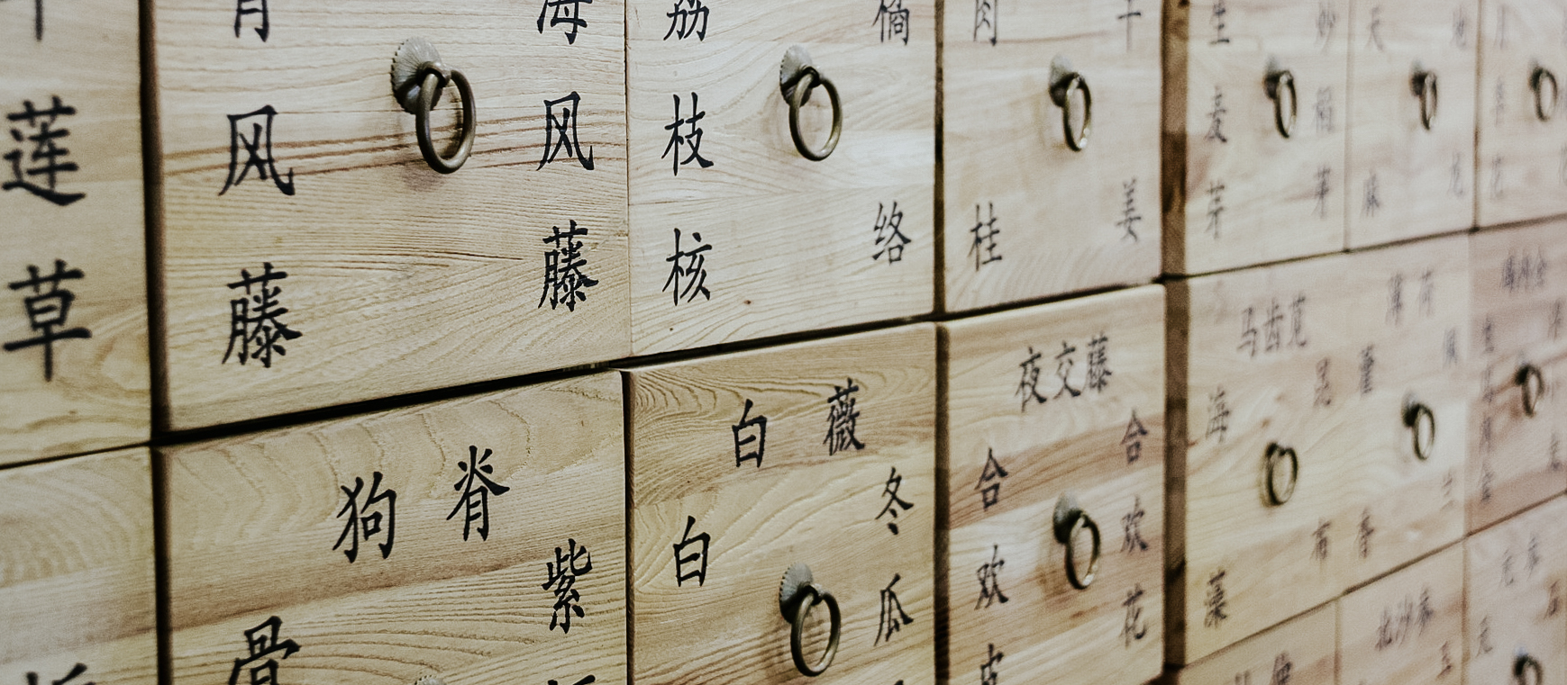traditional-acupuncture.jpg