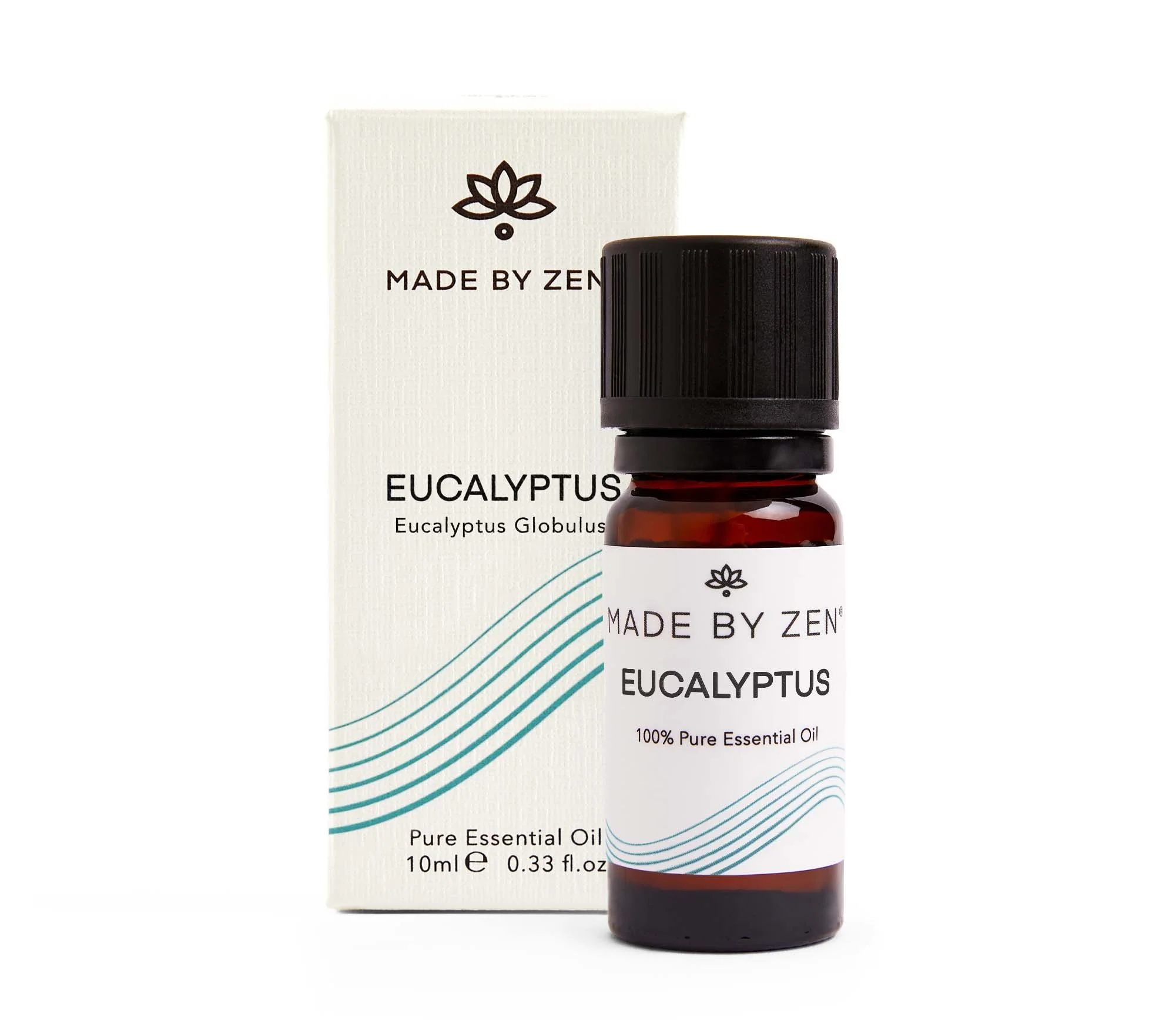 Eucalyptus Web.jpg