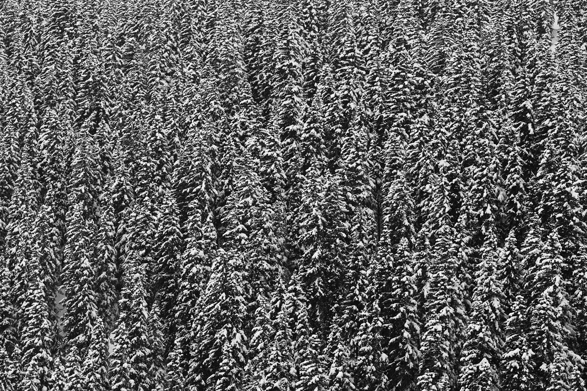 BC1B0984.jpg