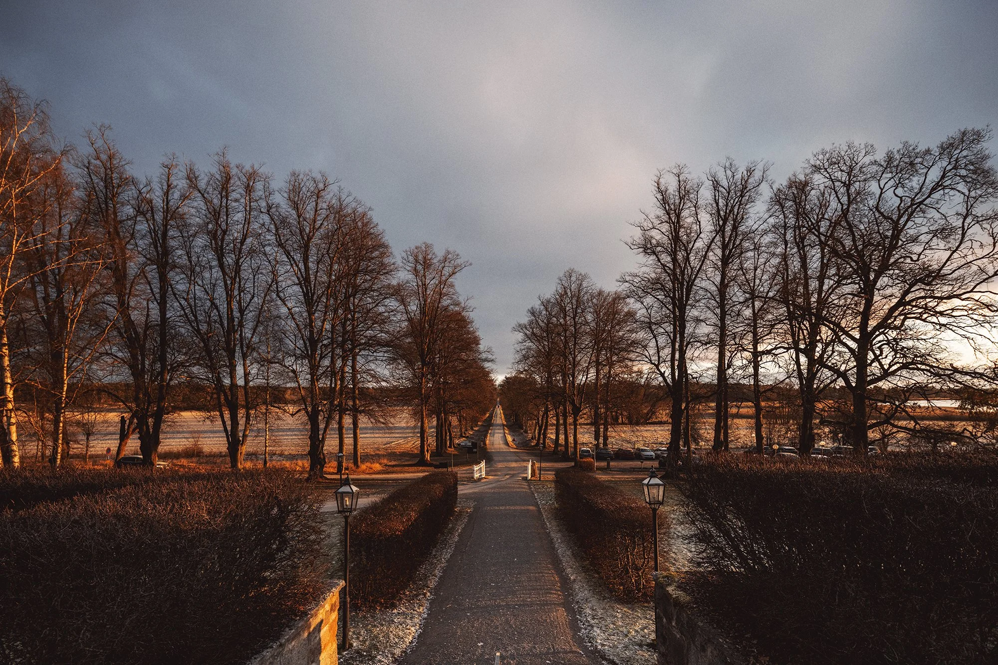 _G1A8926.jpg