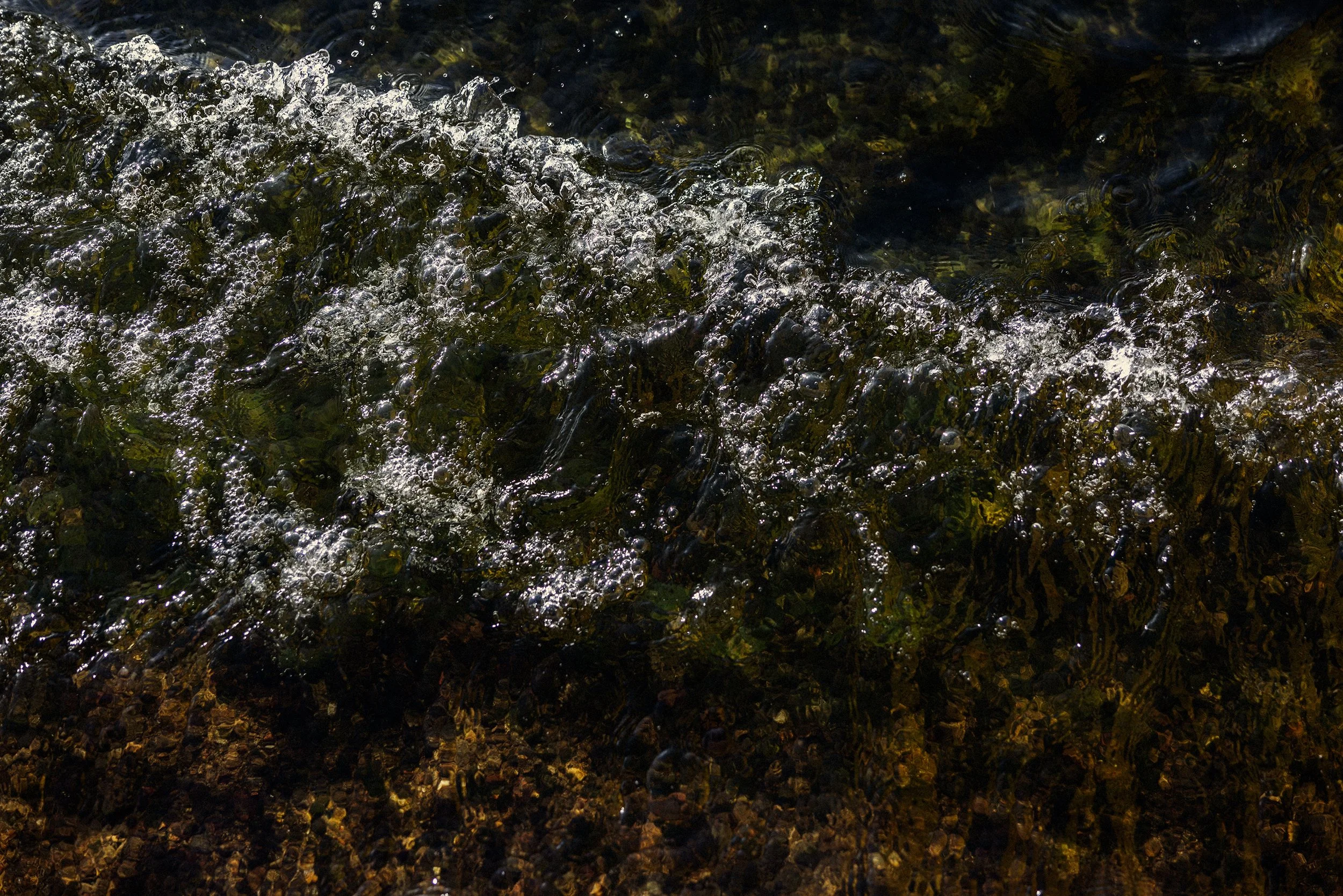 _G1A7453.jpg