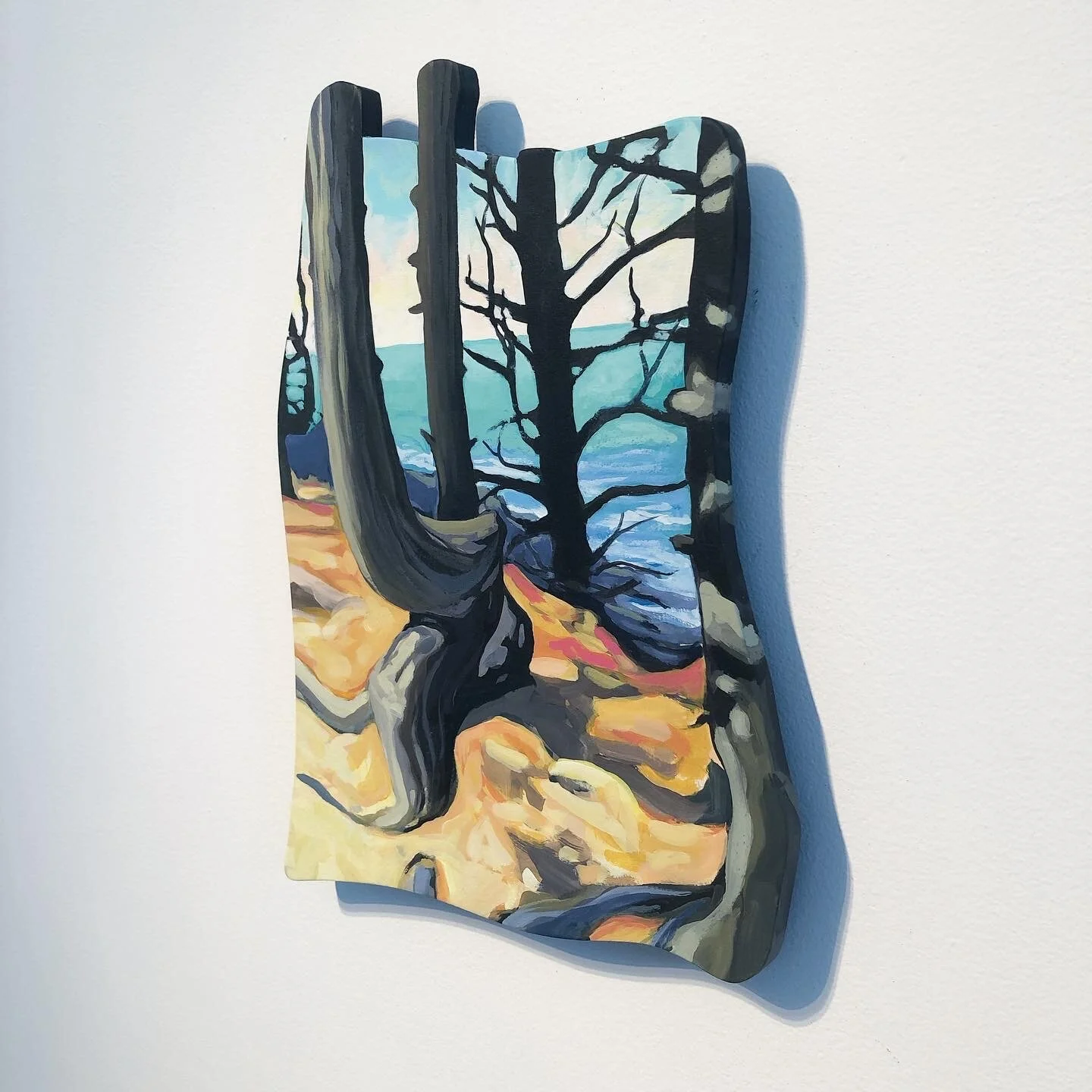 Maine- Shape of Land, Shape of Water (Schoodic I Peninsula)