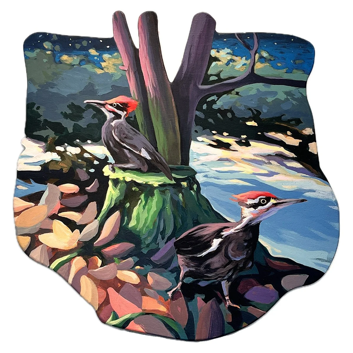 Dreamtime Walkabout at Sheepscot Headwaters - Montville, Maine