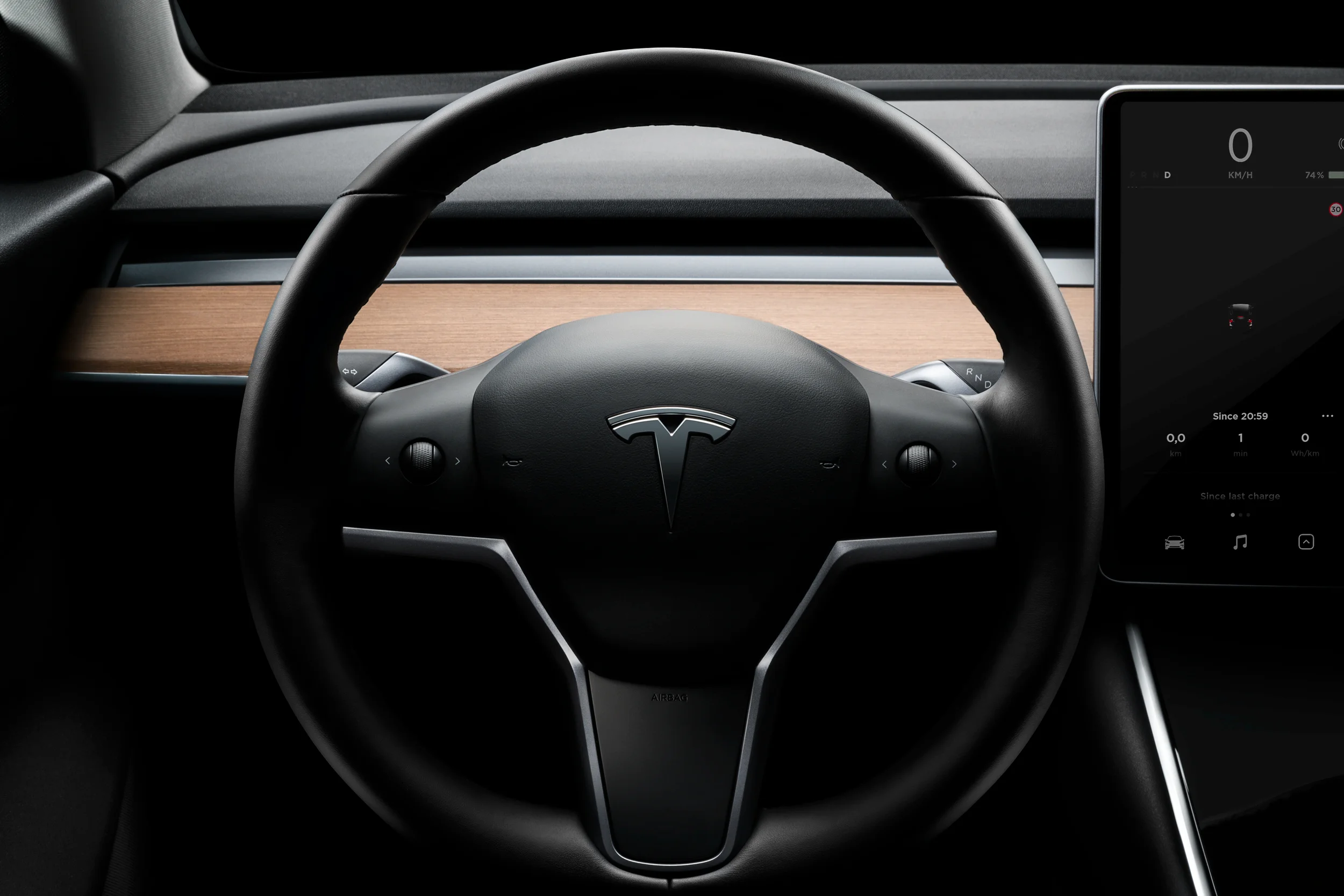 Tesla1web.jpg