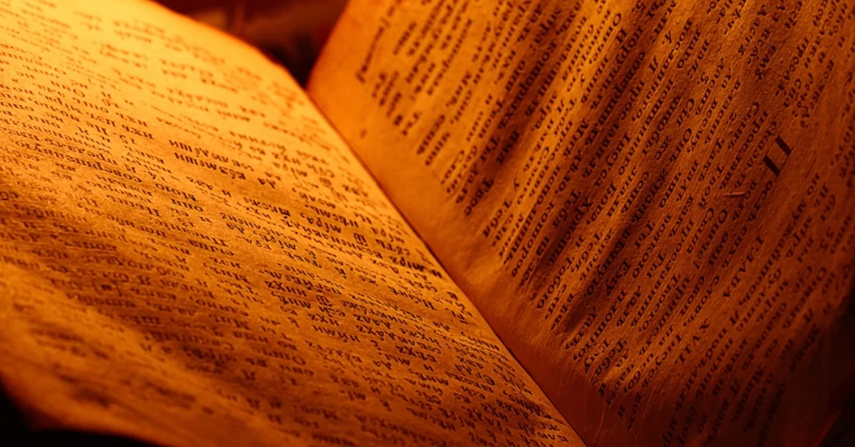 how long should my chapter be