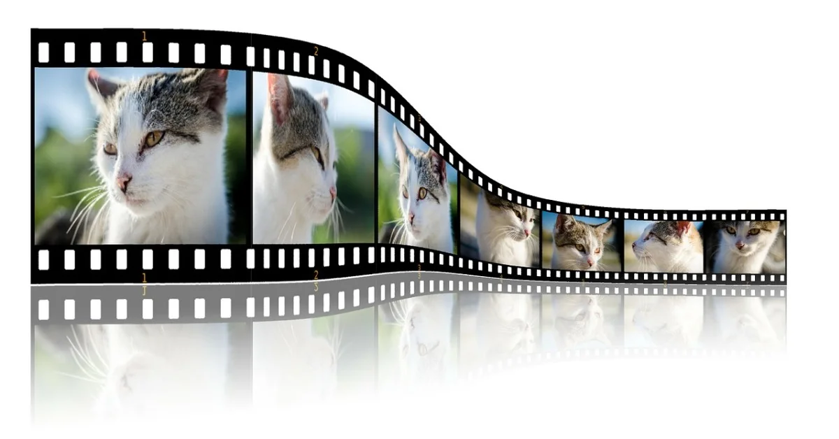 repurpose your content