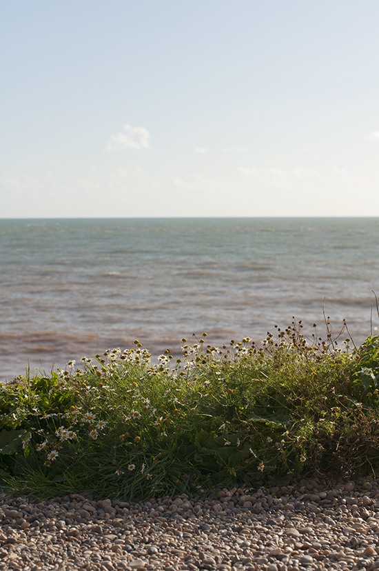 calm view.jpg