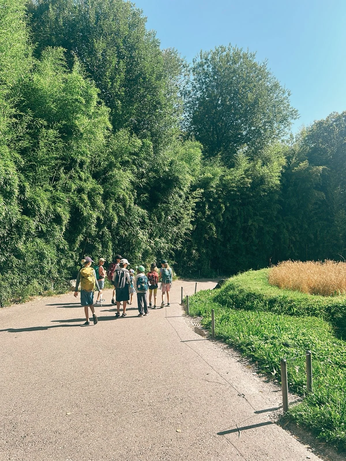 WhatsApp Image 2025-09-25 at 23.43.51.jpeg