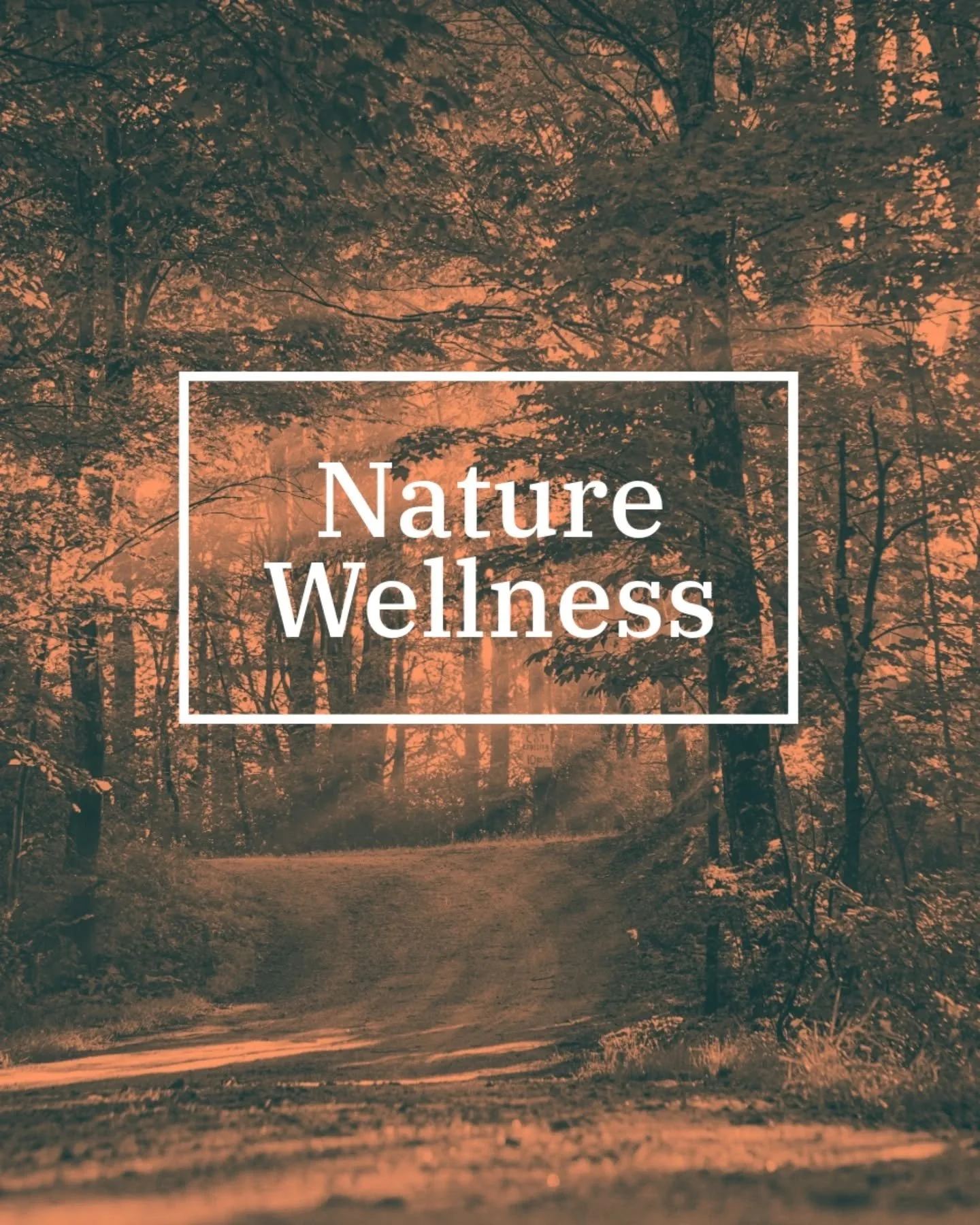 P A U S E.
G R O U N D.
B R E A T H E. 
Join me for something special this Autumn. 
It is an idea that has been simmering a while, but one that I hadn't quite felt confident or ready to launch. 
My
N A T U R E / W E L L N E S S /S E S S I O N S dr