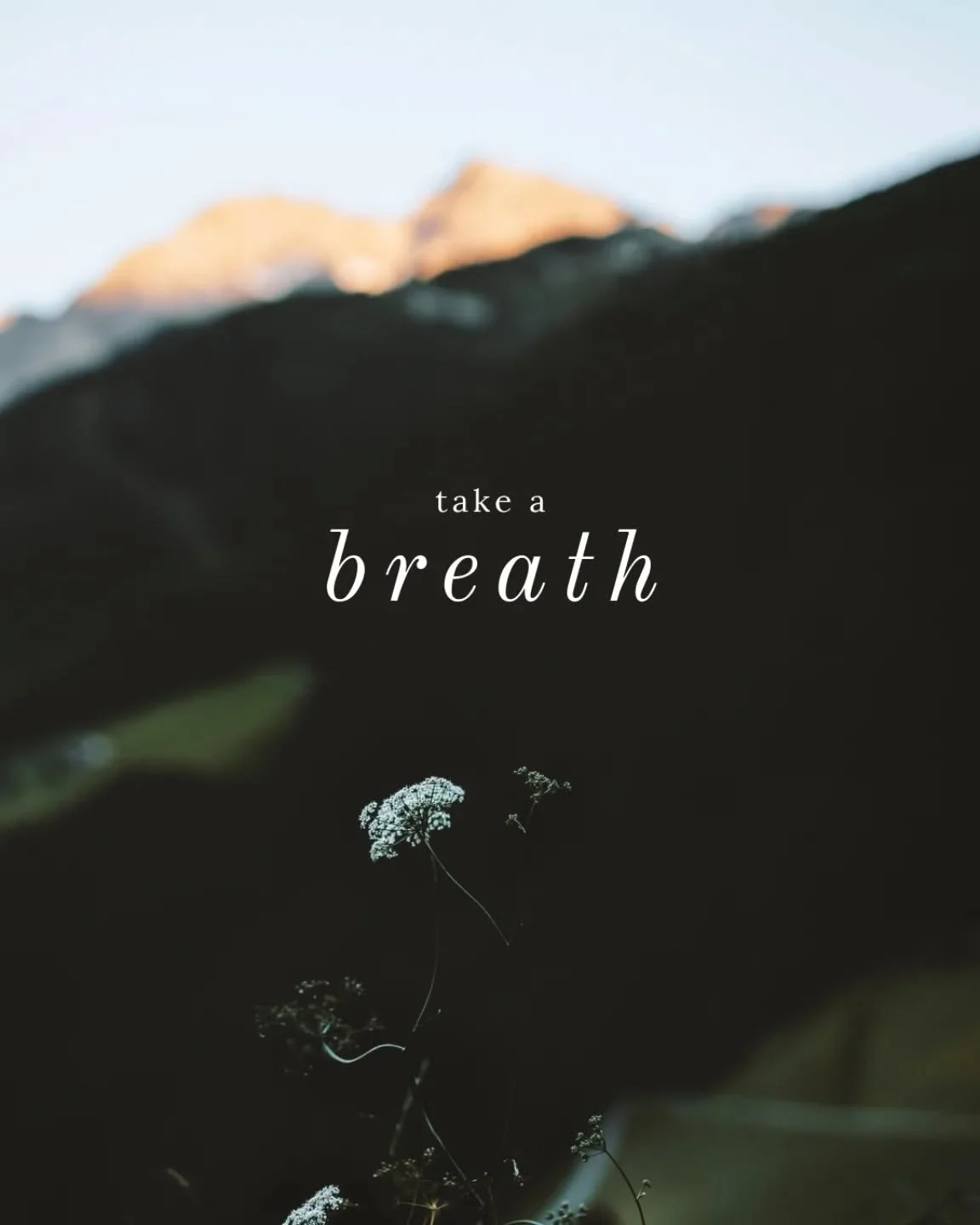 I M A G I N E…
being transported to your inner child as you scuff and kick your boots amongst the fallen leaves. Hearing the rhythm of swishing sounds underfoot. Inhaling fresh woodland air as autumn dew falls gently on your skin like a whisp