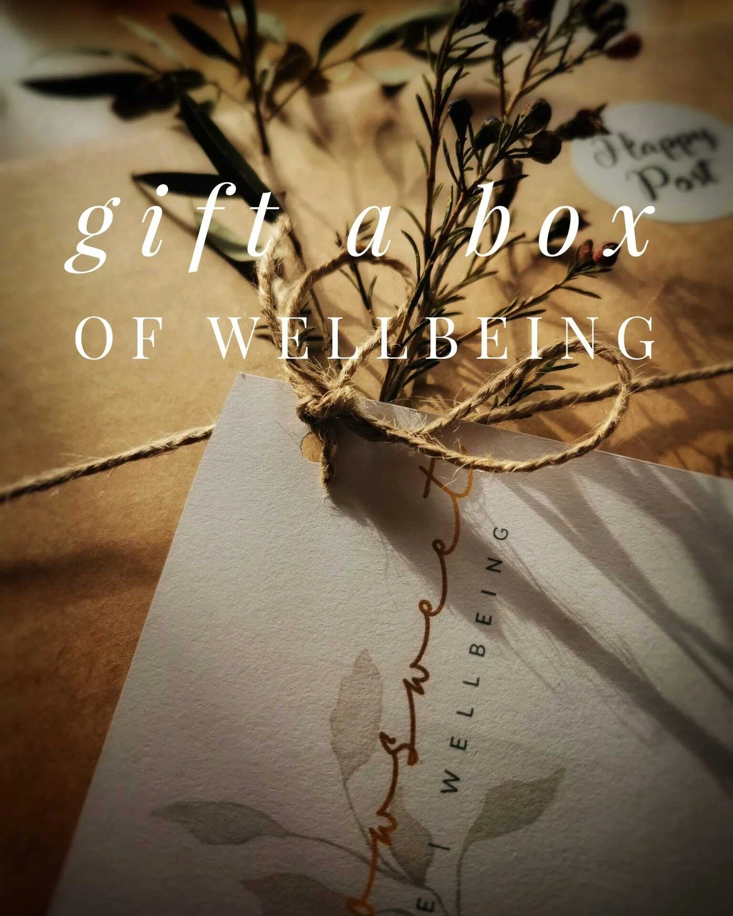 A / S O F T / D E C E M B E R / N E W S L E T T  E R
That offers moments of stillness through breathwork and a mini meditation. Somewhere to anchor yourself. 

It hints at some wonderful new offerings for next year, and why these might just be what y