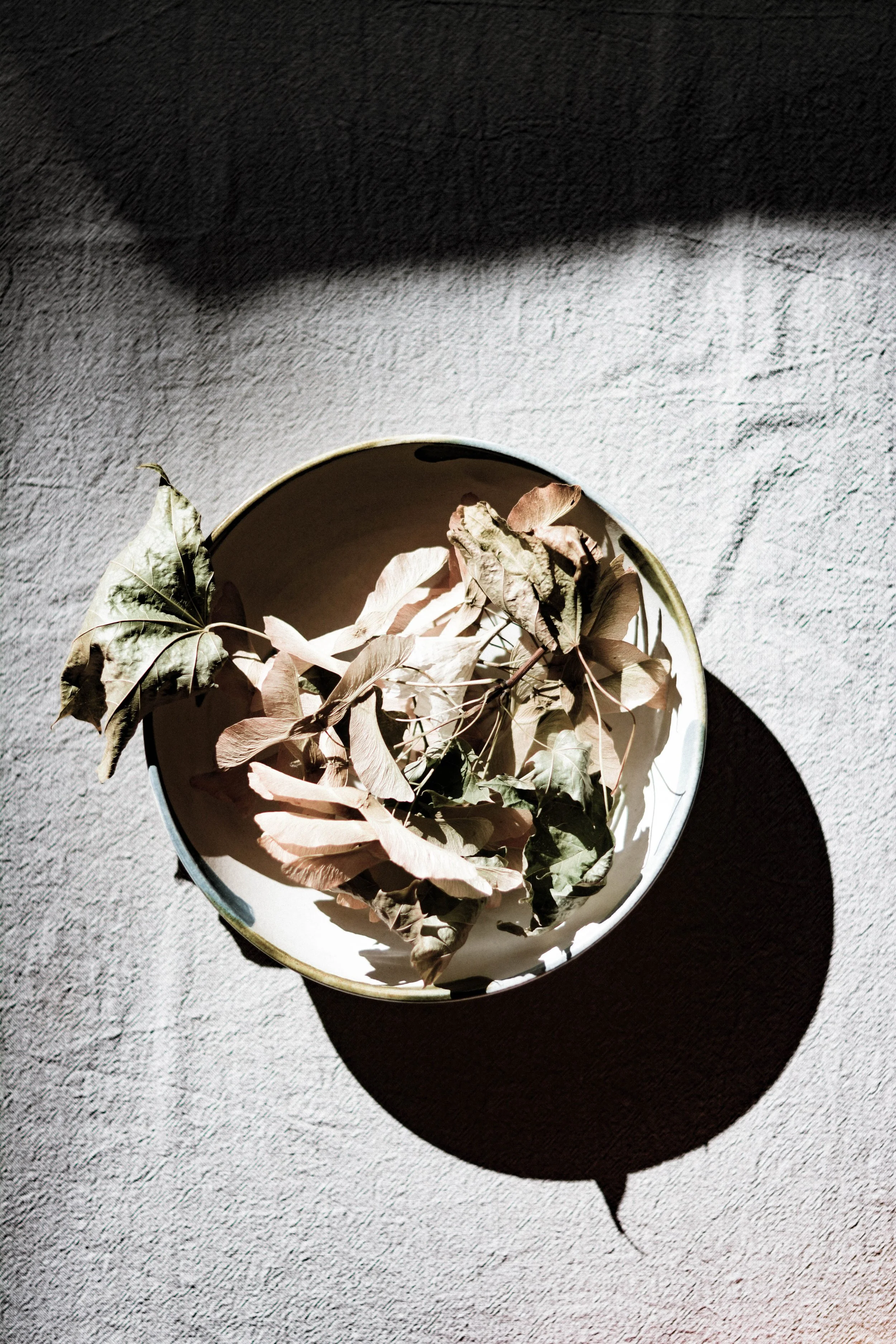 O U R / O W N / S E A S O N S / O F / L I G H T / &amp; / S H A D O W