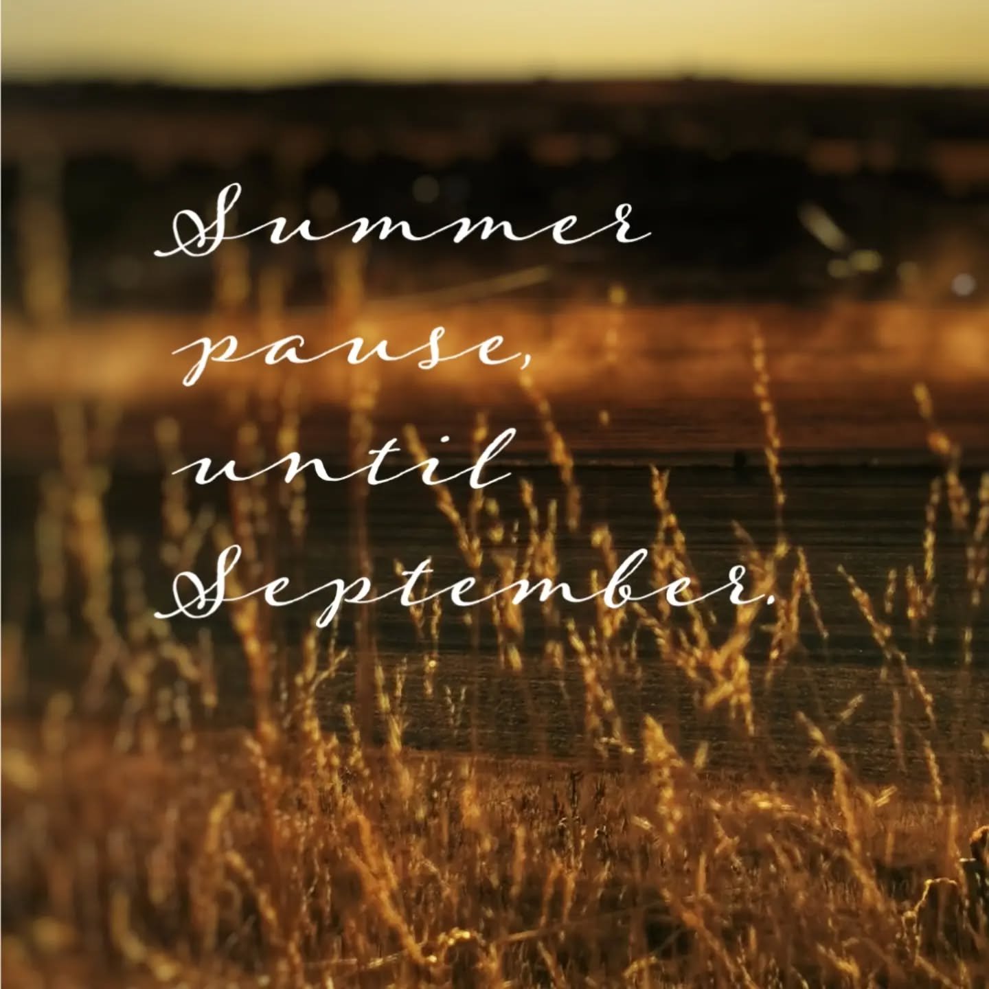 S U M M E R / P A U S E. 

A little note to say that I'll be stepping into a gentle 
s u m m e r / p a u s e 
here at Meadowsweet. 

I also wanted to share my heartfelt thanks to each of you, and every one of my beautiful clients, followers, newslett