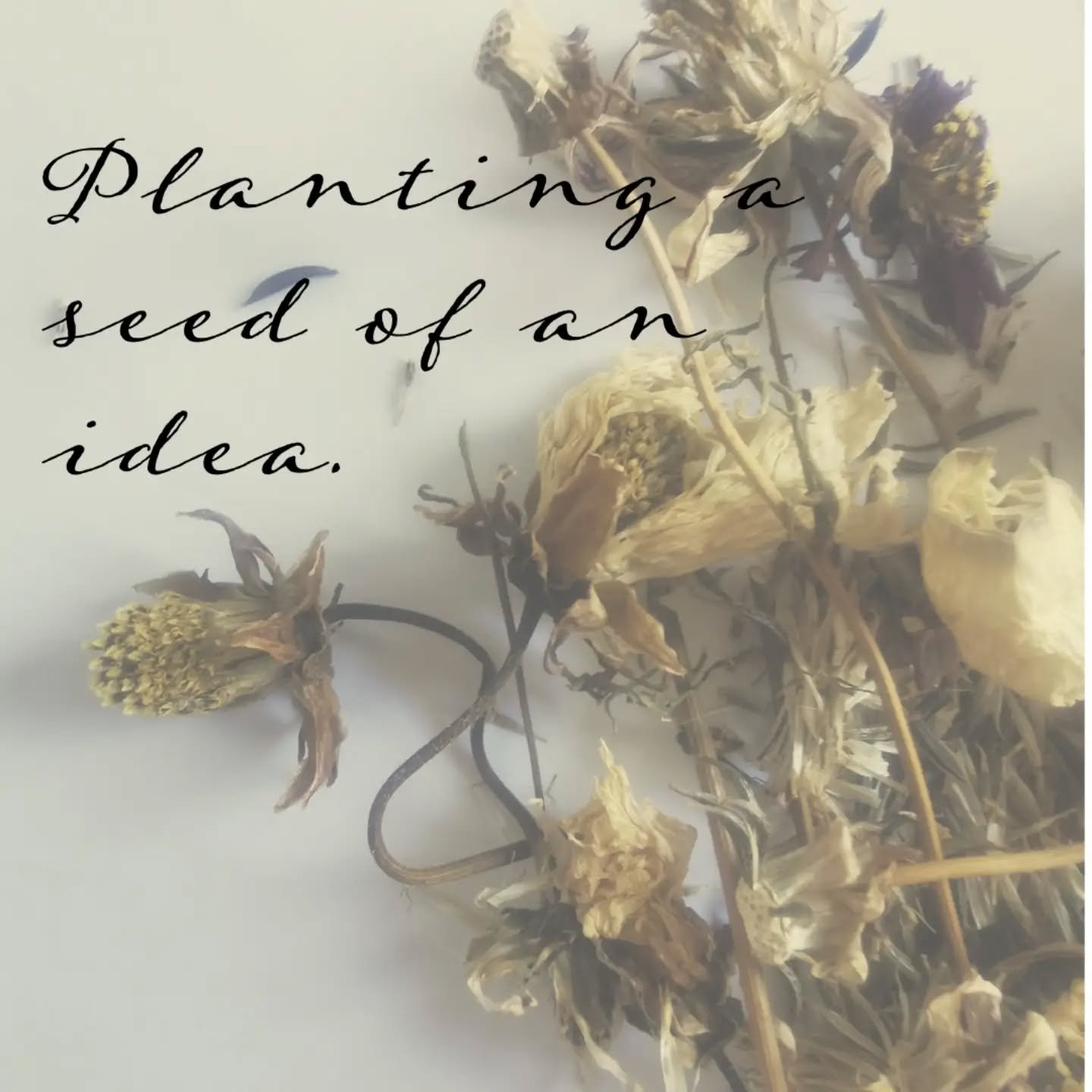 p l a n t i n g / a / s e e d / o f / a n /
i d e a

For me there's always been an inner dream, hope, wish of creating a small book or journal to share with like minded readers. A reflection on my work subtly guided by Reiki. I can't recall exactly w