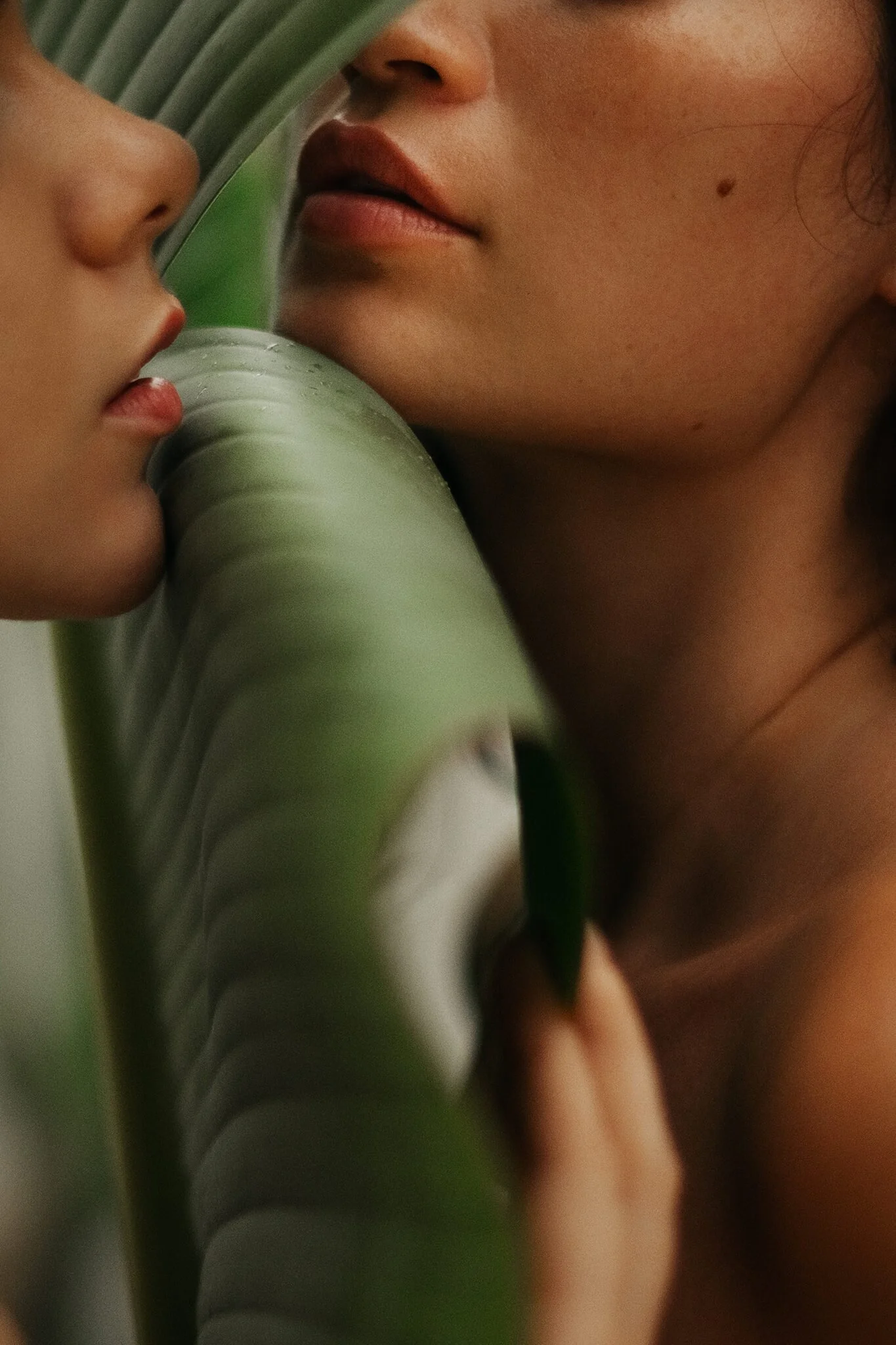 Close-up of two women almost touching noses, with one woman partially hidden behind a green large plant leaf.