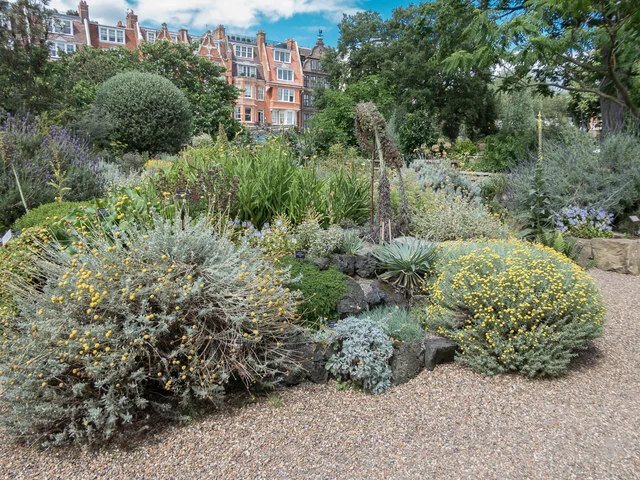 physic gardens.jpg