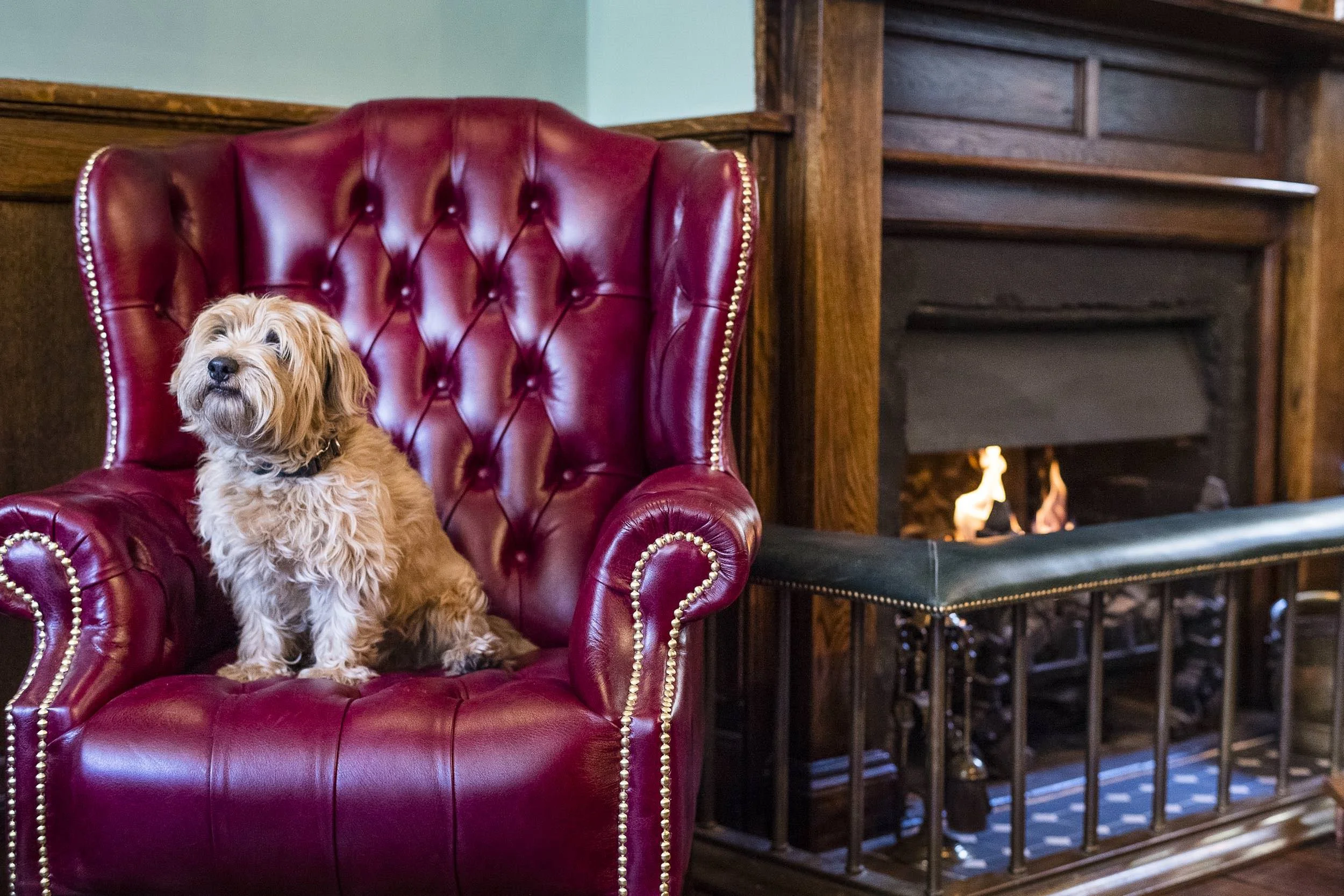Our pick of the cosiest local-style pubs to see you through the winter 