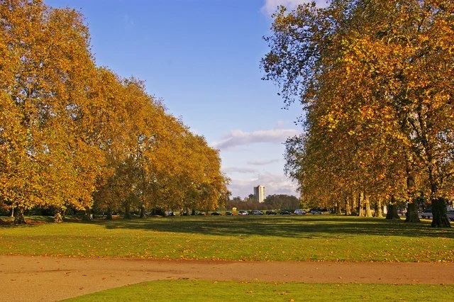 Autumn 2022 prime property market update - it's time to get real