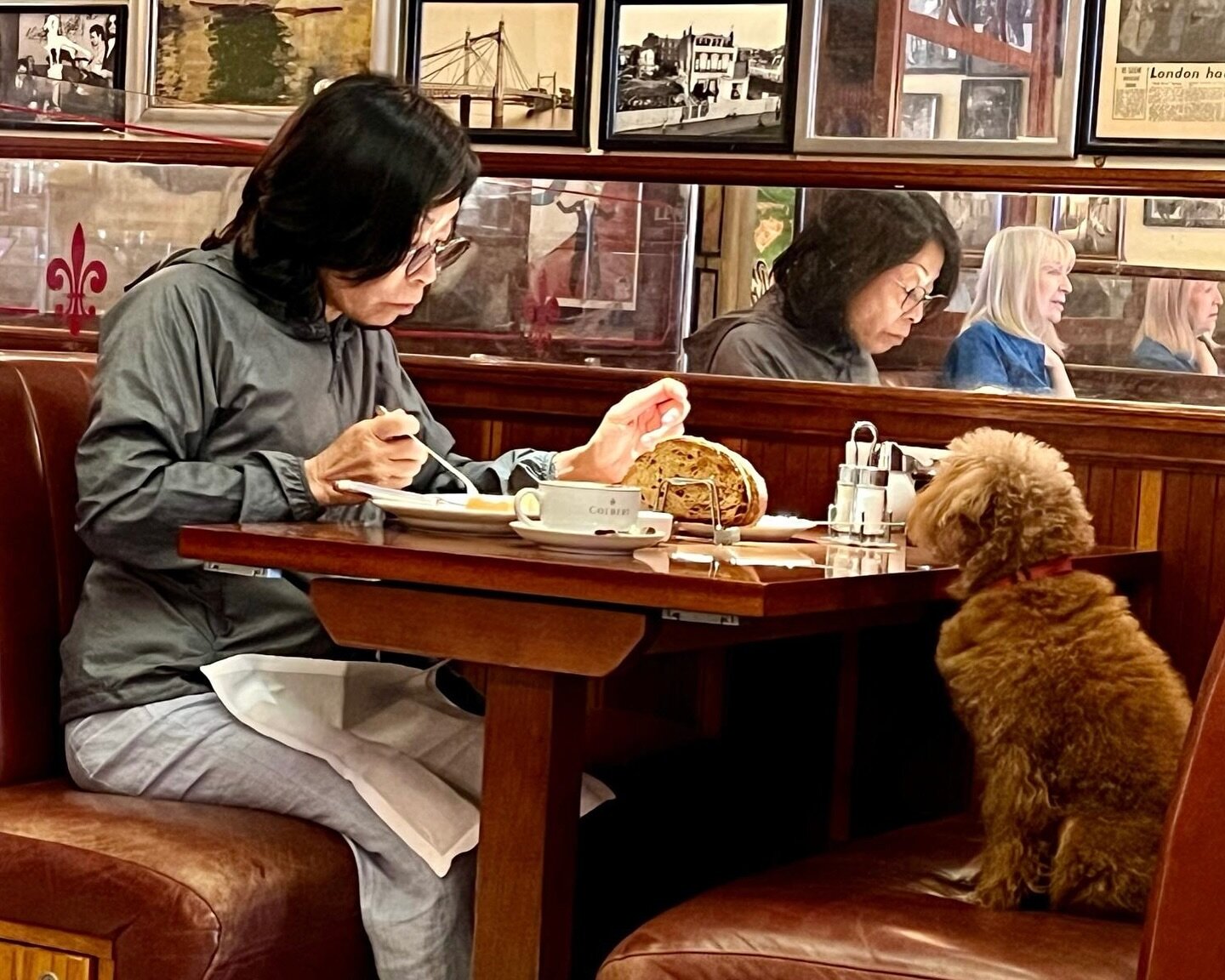 How are you doing this week? 
It&rsquo;s National Love Your Pet Day today so why not treat yourself and your furry friend to something nice? 
We saw this lovely pair in Colbert some time ago, but it remains one of our favourite photos&hellip;
Just qu