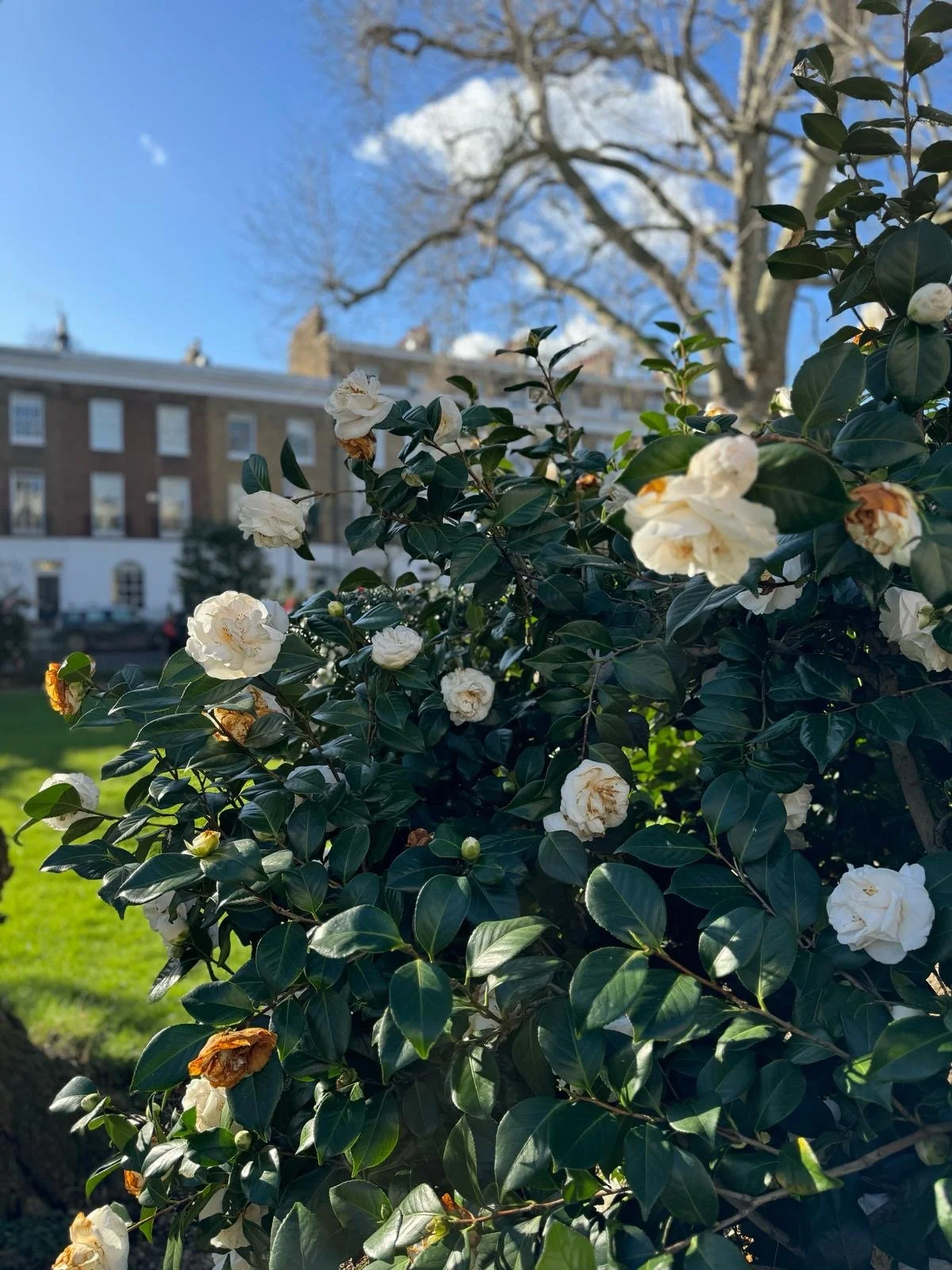 Spring property update