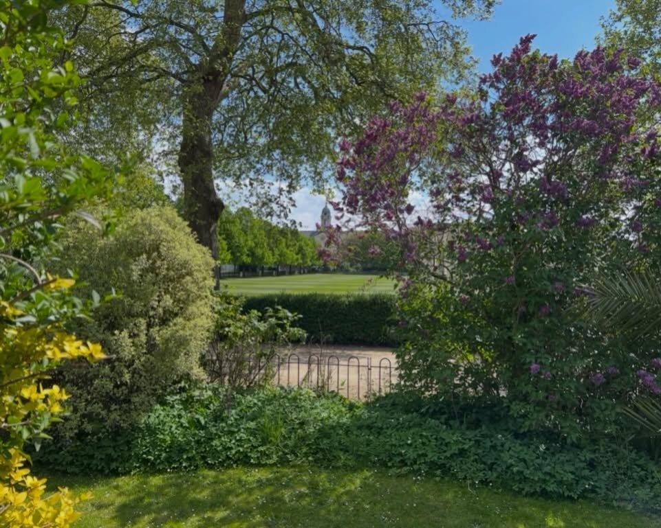 April is often one of the best times in London. 
When the blossom&rsquo;s out and all the leaves start unfurling, everything suddenly seems more hopeful and happy!  And we have Chelsea in Bloom just around the corner! 
📍Burton Court, Chelsea SW3.