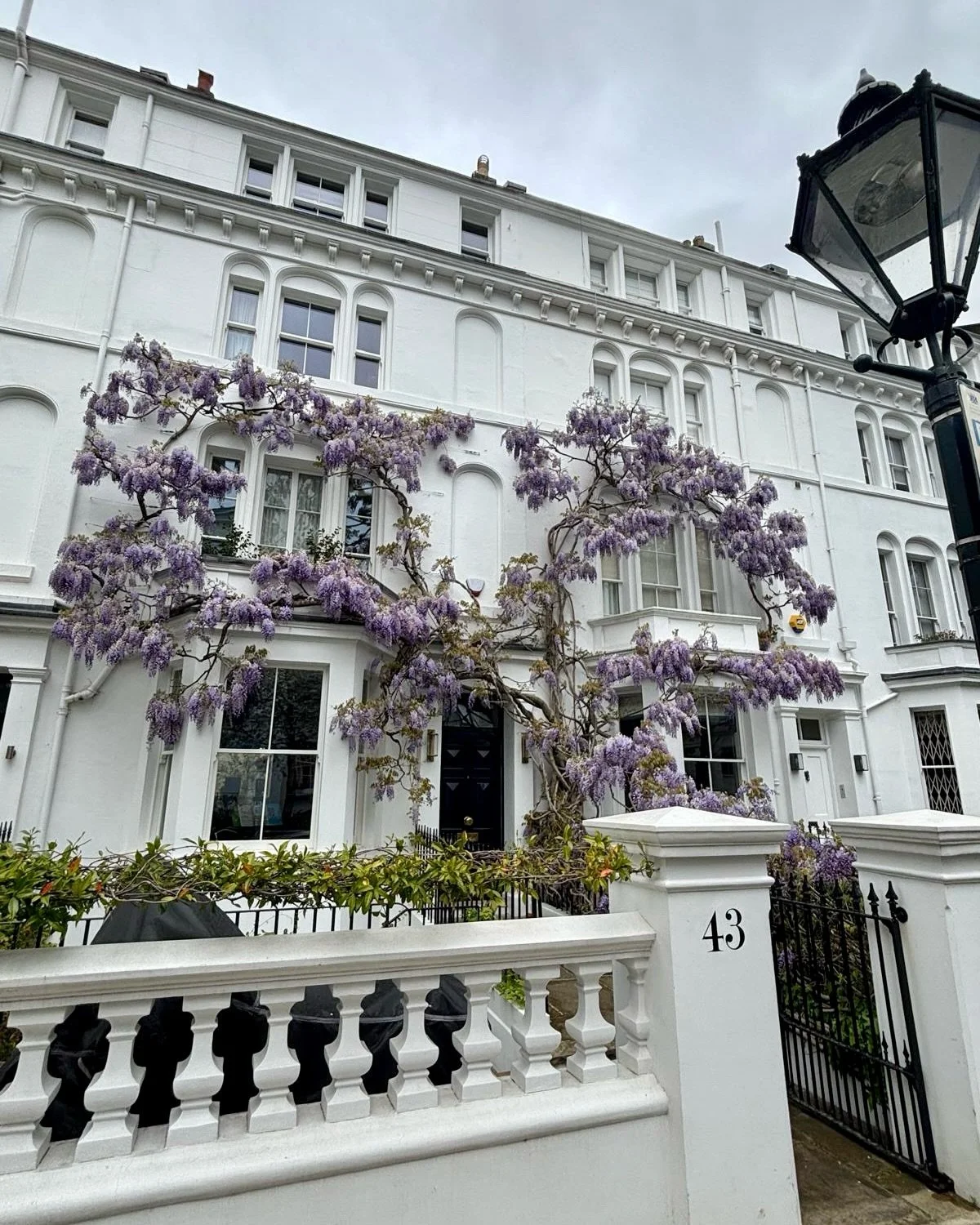 It feels like the wisteria is a little early this year. We&rsquo;re sure it&rsquo;s generally May but some London homes are already dressed to impress with this wonderful annual display. 💜
.
#wisteria #may #April #London #property