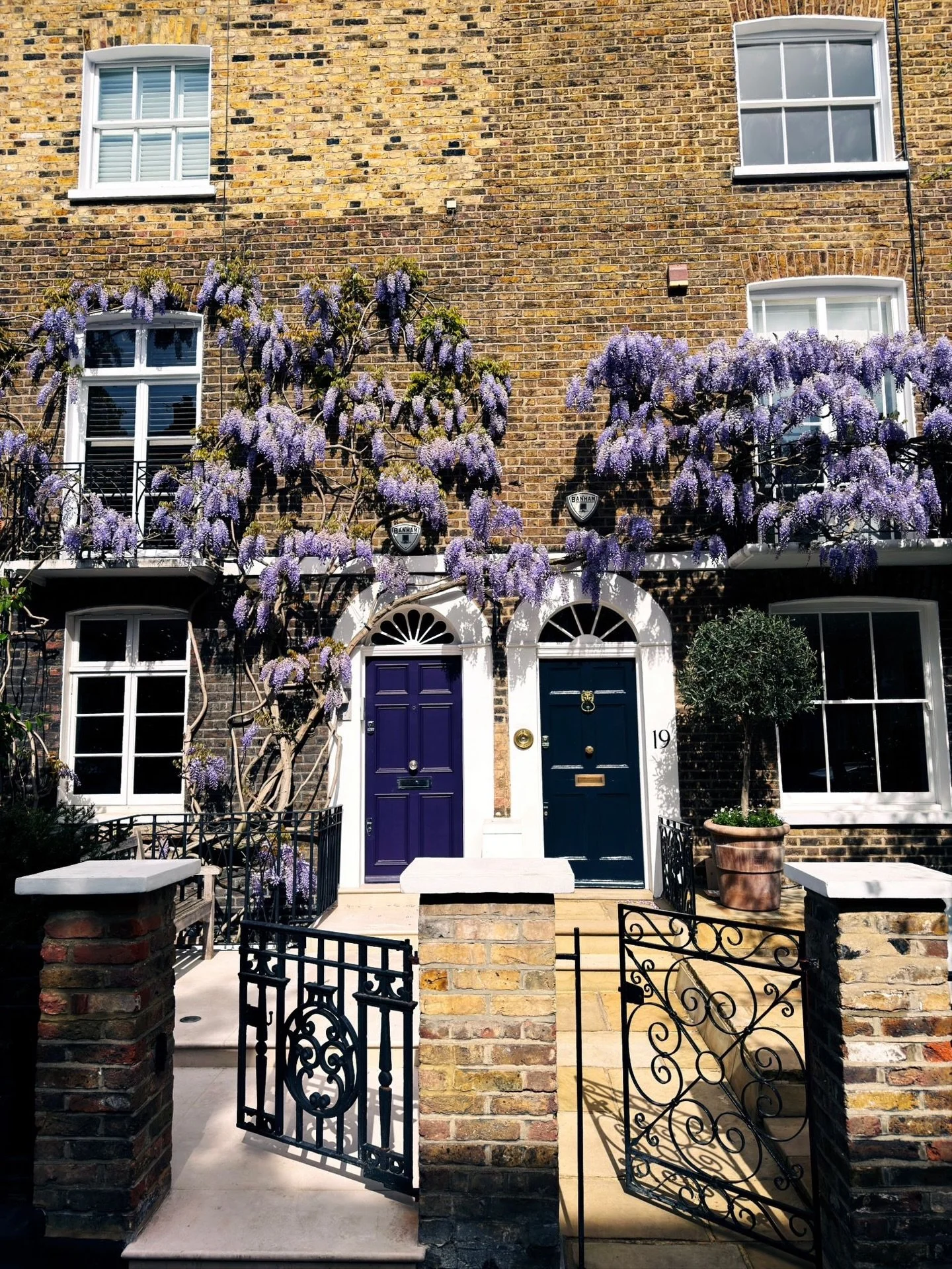 Happy 1st May! This month is pretty much the best month in our neck of the woods. 

The Wisteria is in full bloom right now and if you&rsquo;re not a native to these parts, here are the best places to see it: 
Kynance Mews (Kensington): The famous st