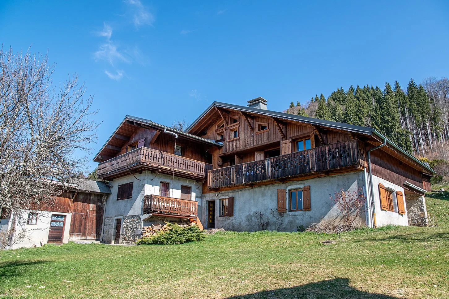 Châlet Carroz-65.jpg