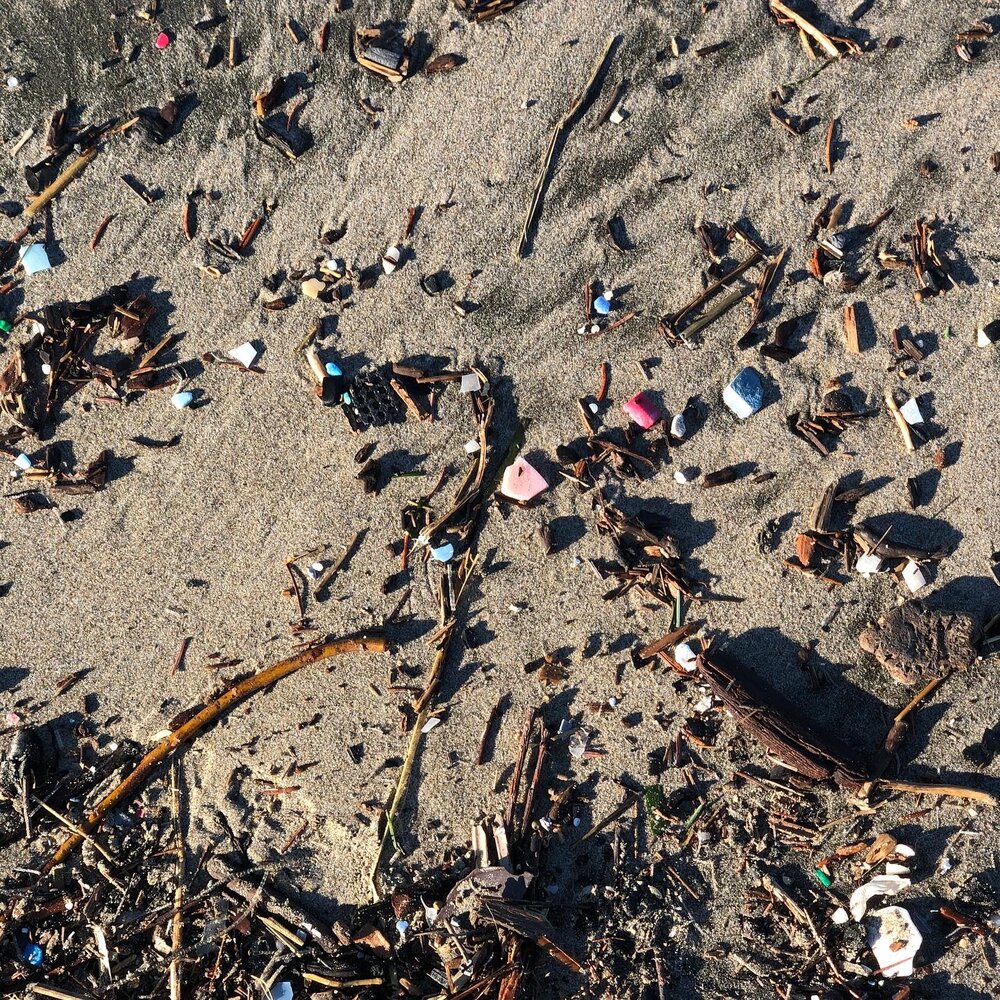  Beach plastic found at Haystack Rock in Cannon Beach, 2021 