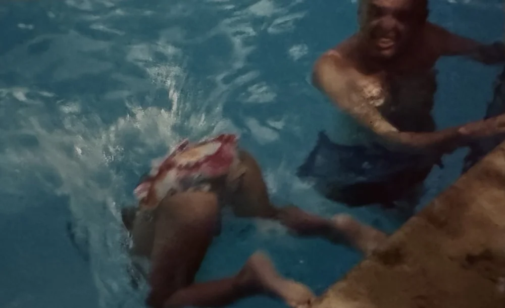 dive.jpg
