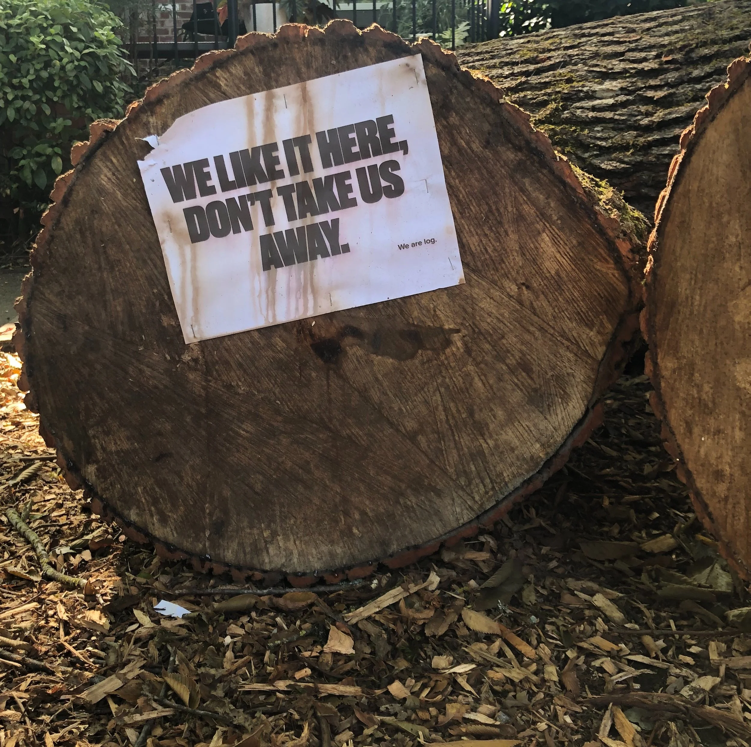 3A9753CB-A337-4C06-9936-A1FD723AE16E-393ED289-61BE-4DD0-A16B-8AEEE50EEF57 3.JPG