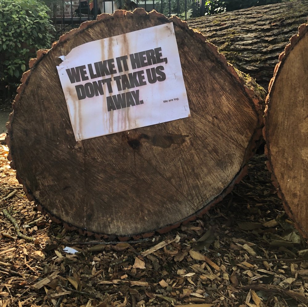 3A9753CB-A337-4C06-9936-A1FD723AE16E-393ED289-61BE-4DD0-A16B-8AEEE50EEF57 3.JPG