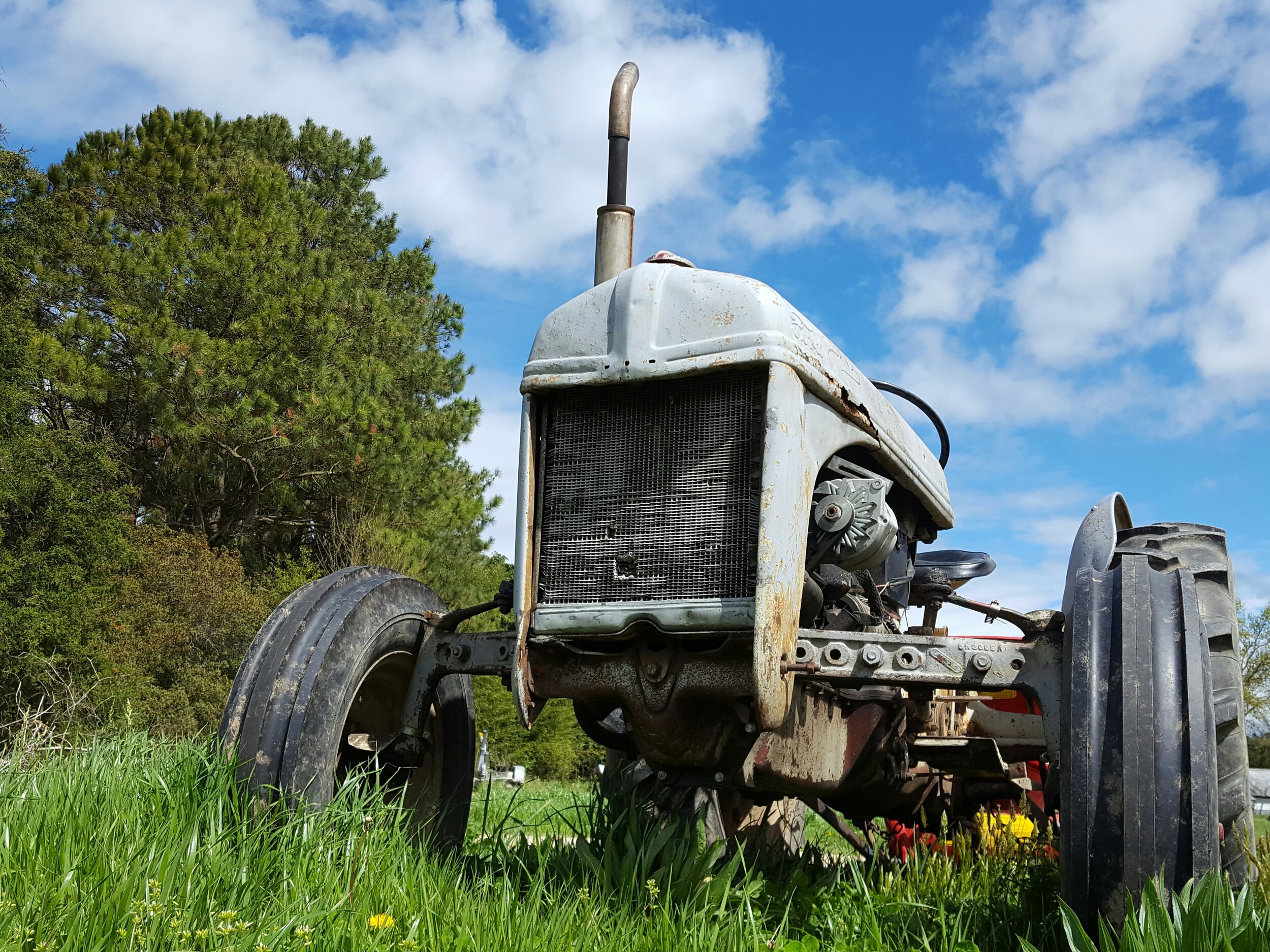 8n tractor - photo credit natalie mcgill.jpg