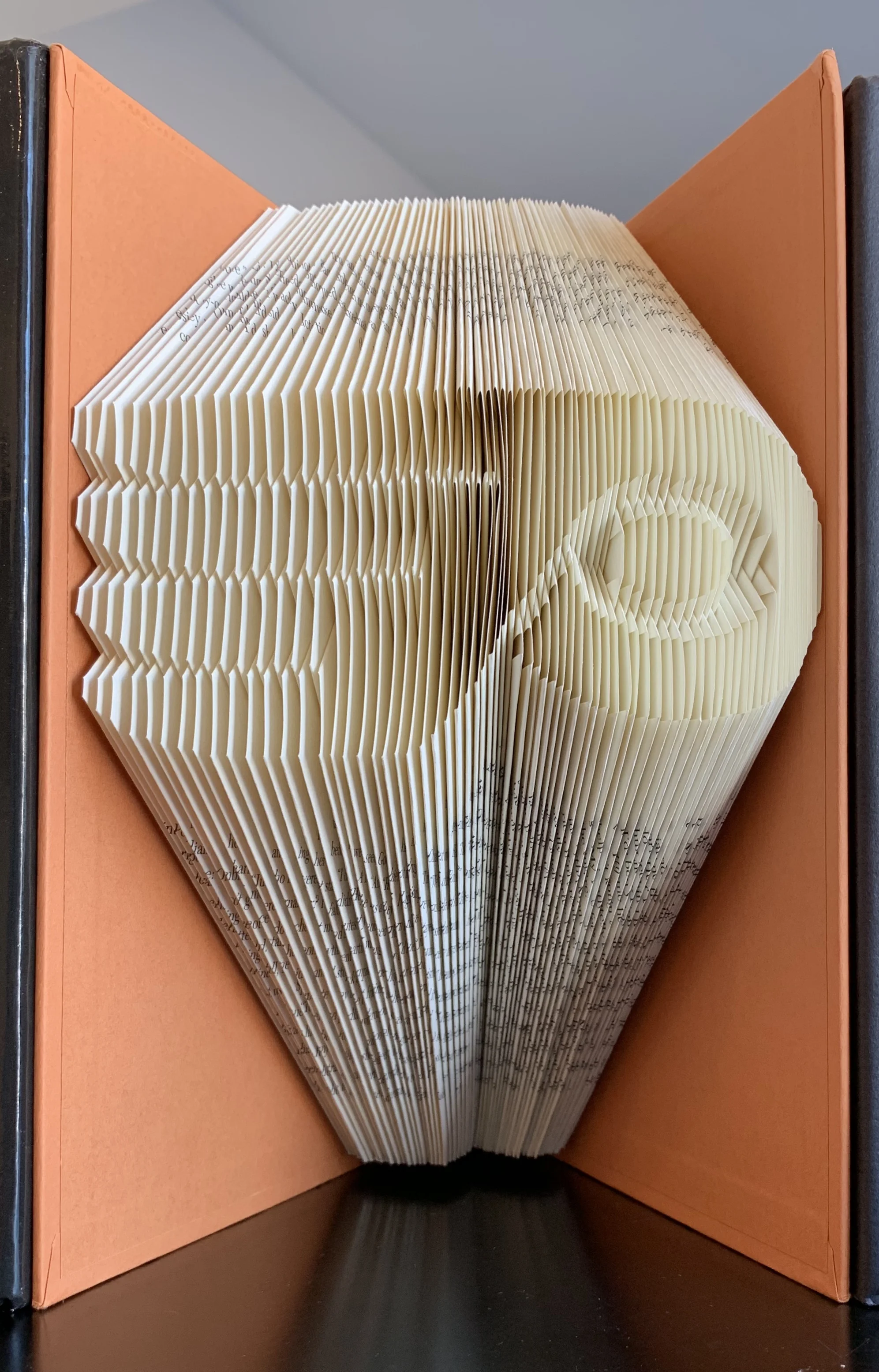 Flyers Book Picture.jpg