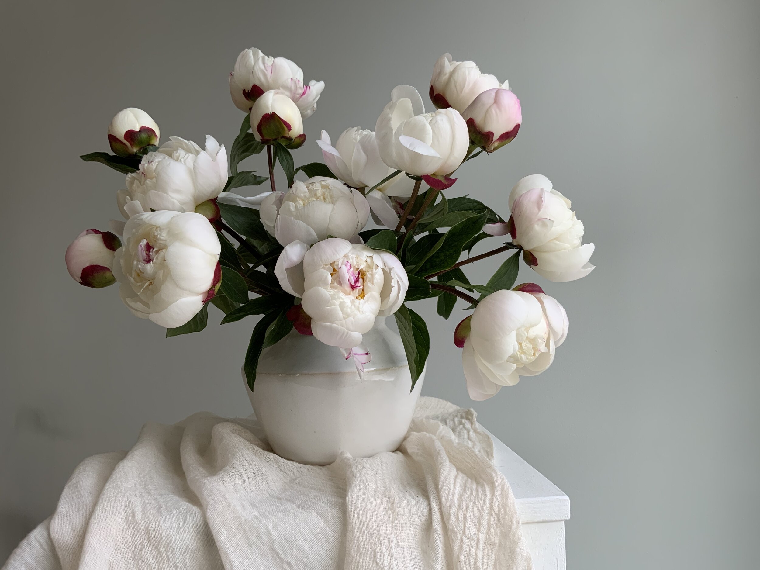 peonies.jpg