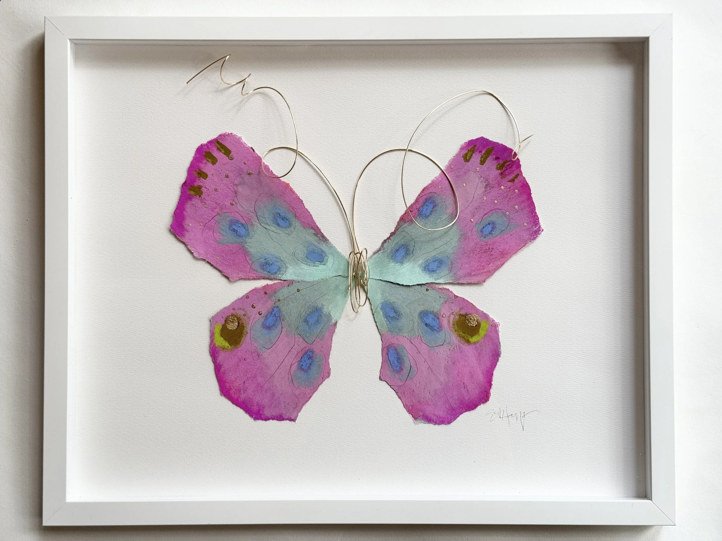 BUTTERFLY TAXIDERMY 16x20 - Berry
