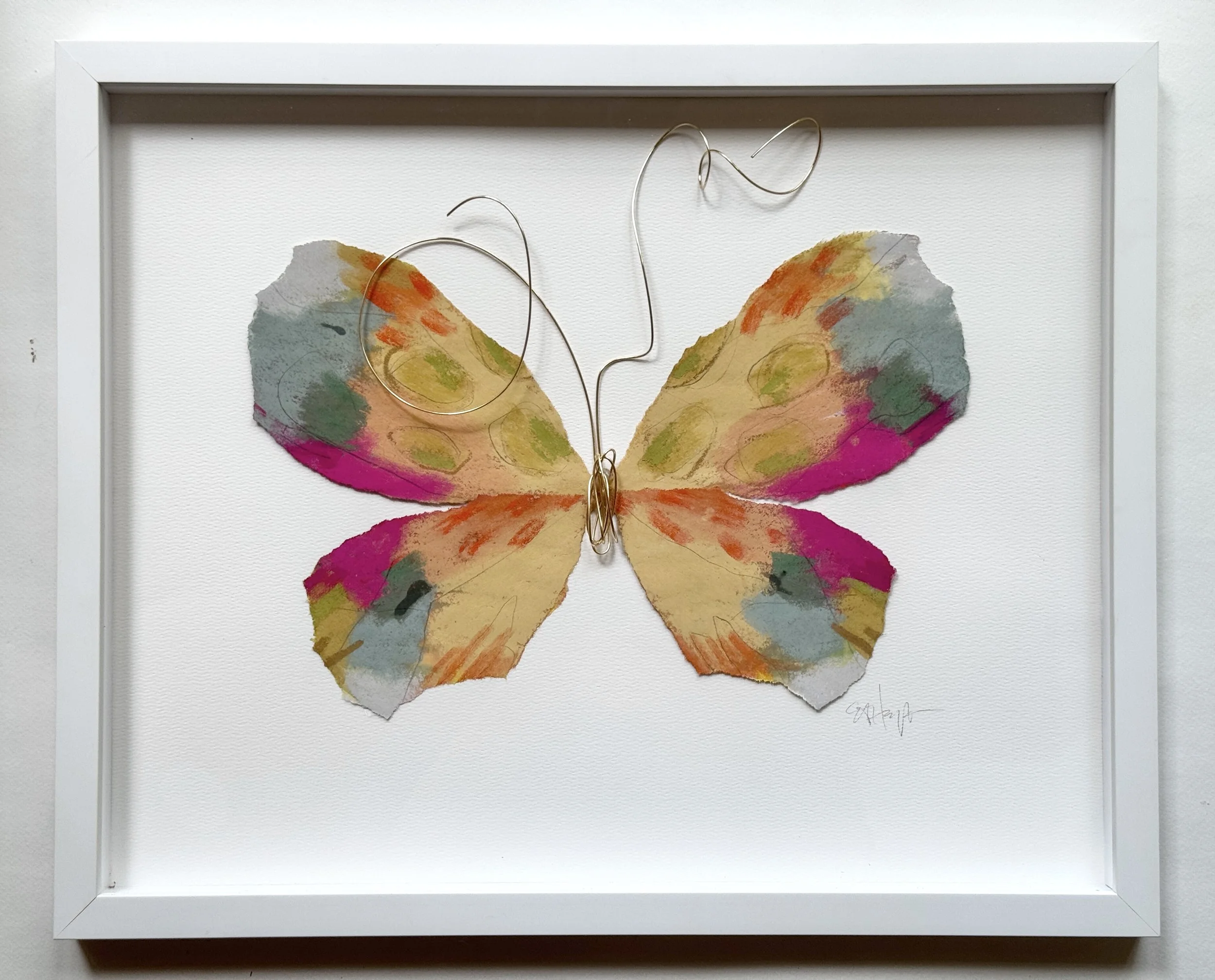 BUTTERFLY TAXIDERMY 16x20 - Saffron