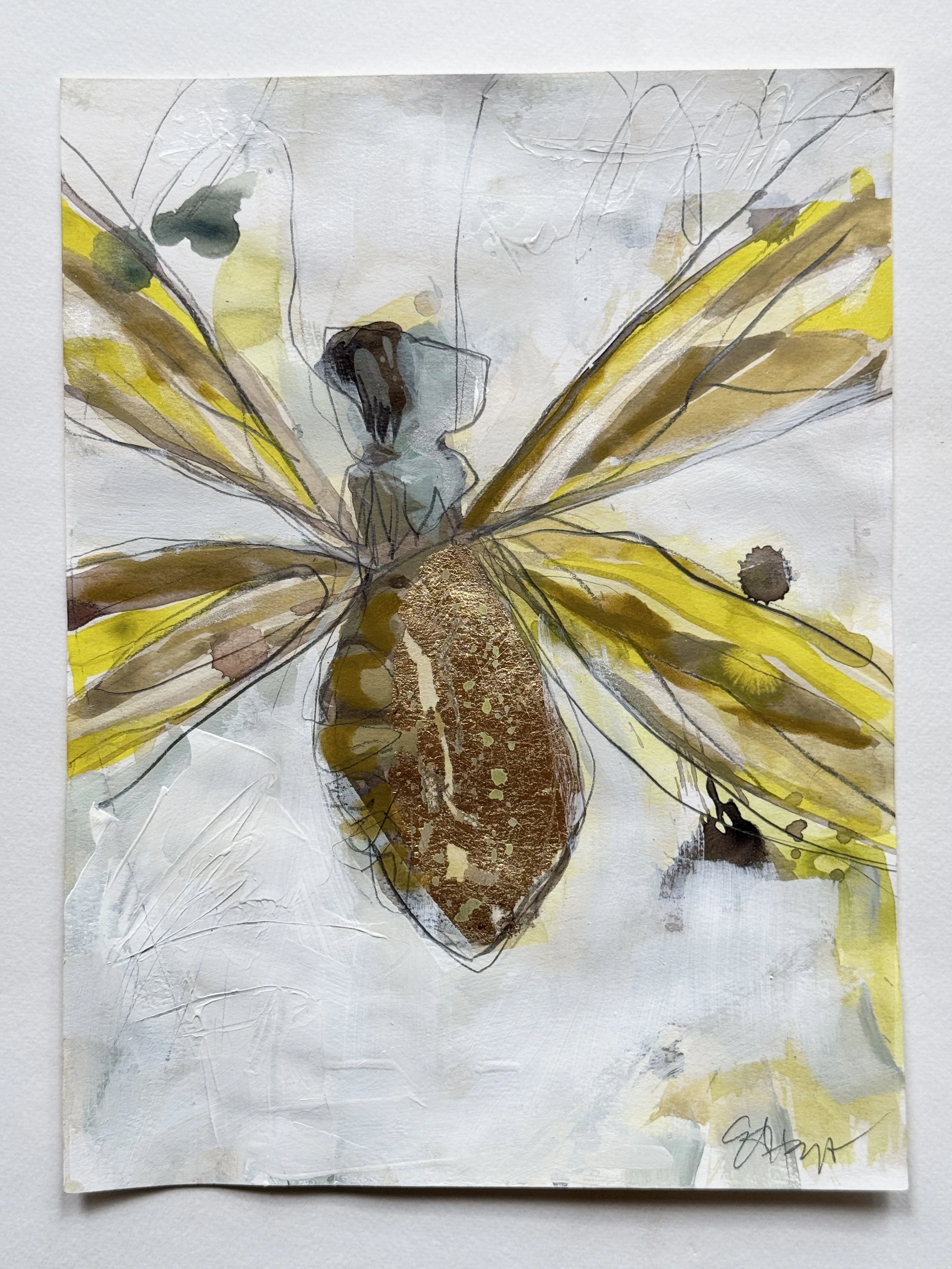 BUG STUDY - Queen Bee