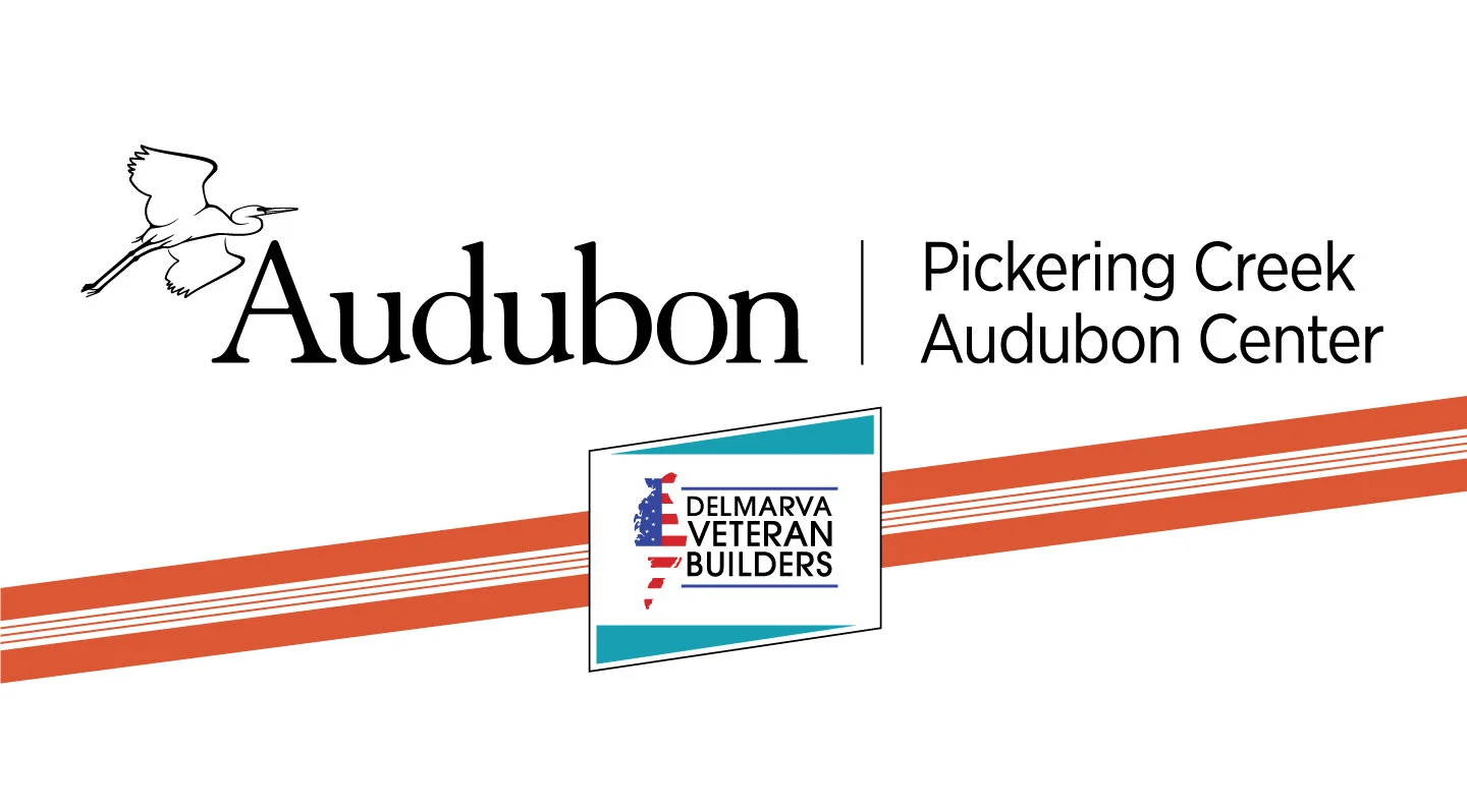 Delmarva Veteran Builders hired for new viewing platform at Pickering Creek Audubon Center