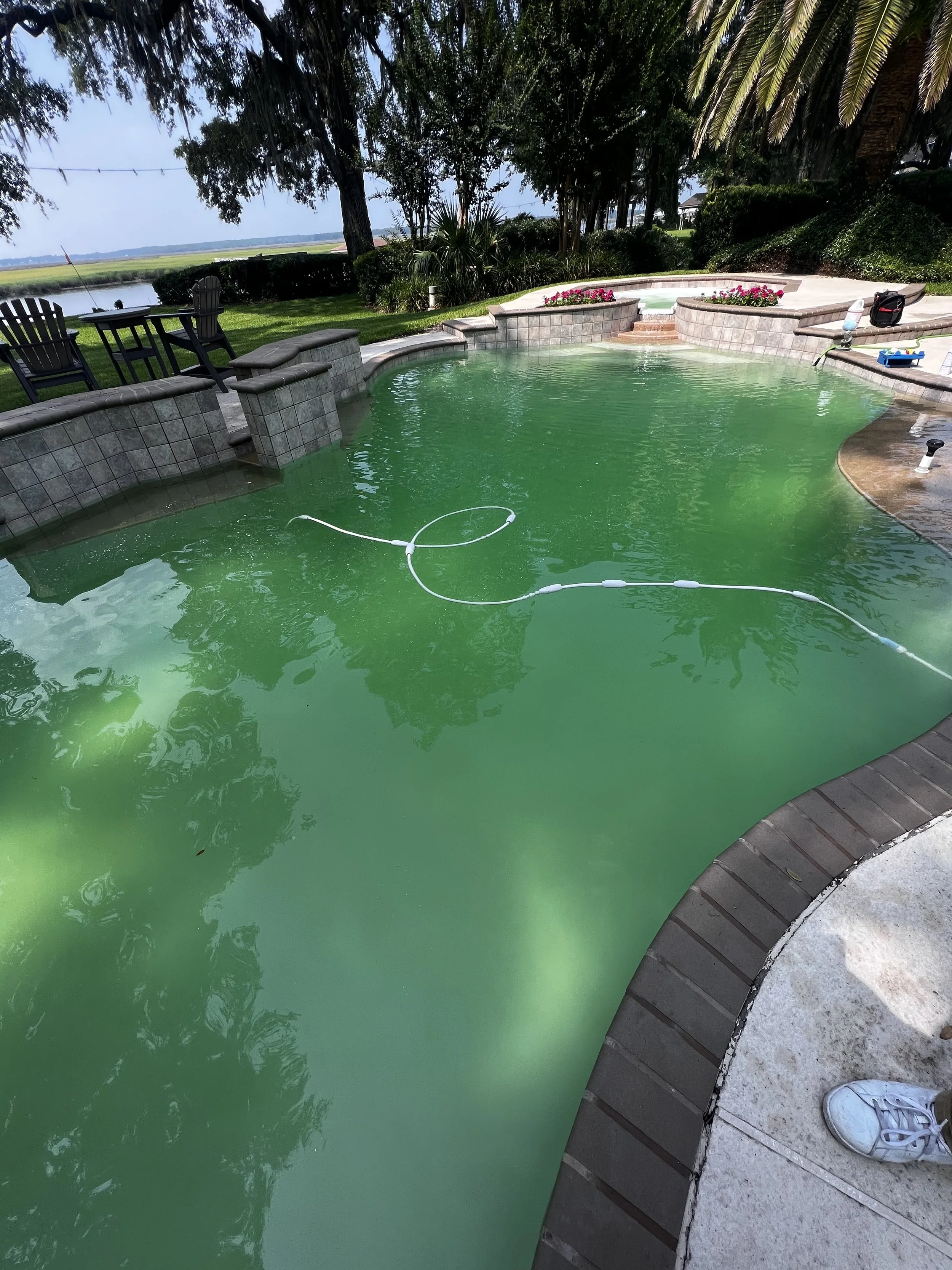 Green pool dirty.jpeg