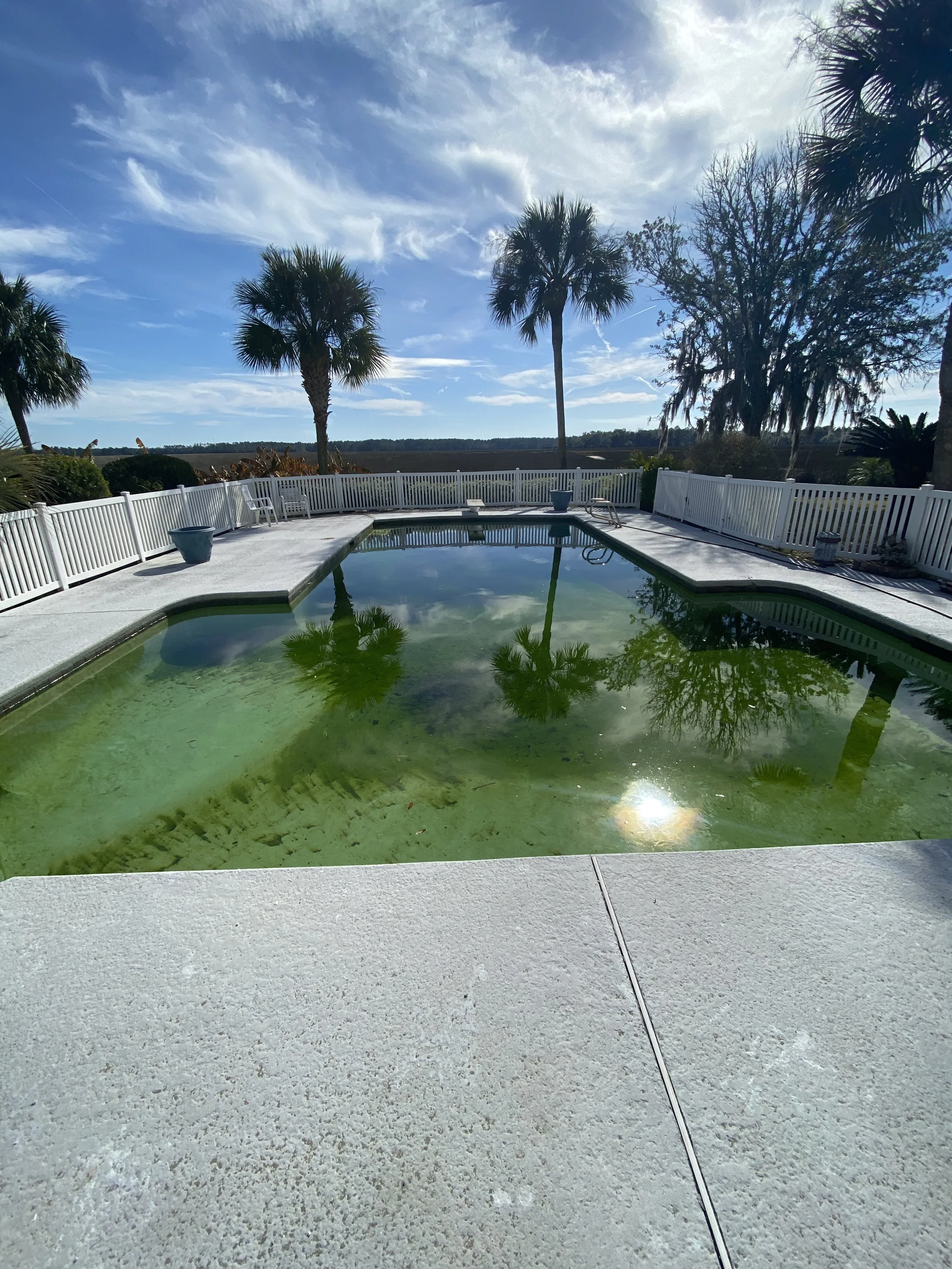 Our Green to Clean Pool Service Program