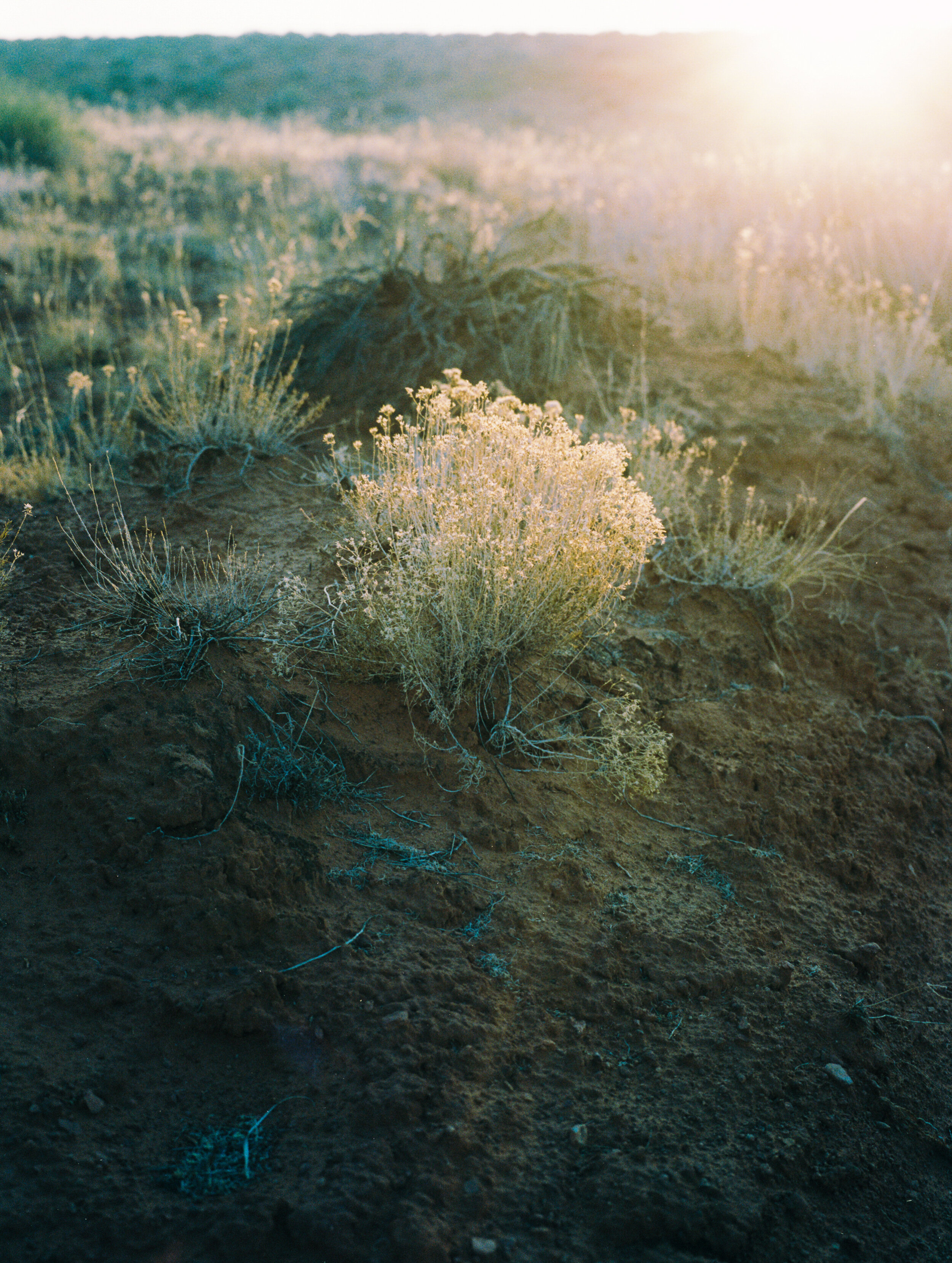 Navajo Land
