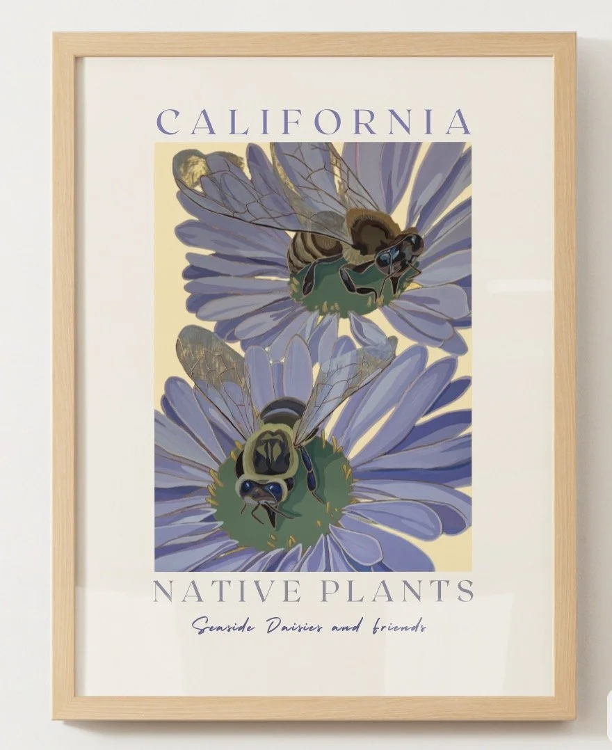 Seaside Daisies and Friends