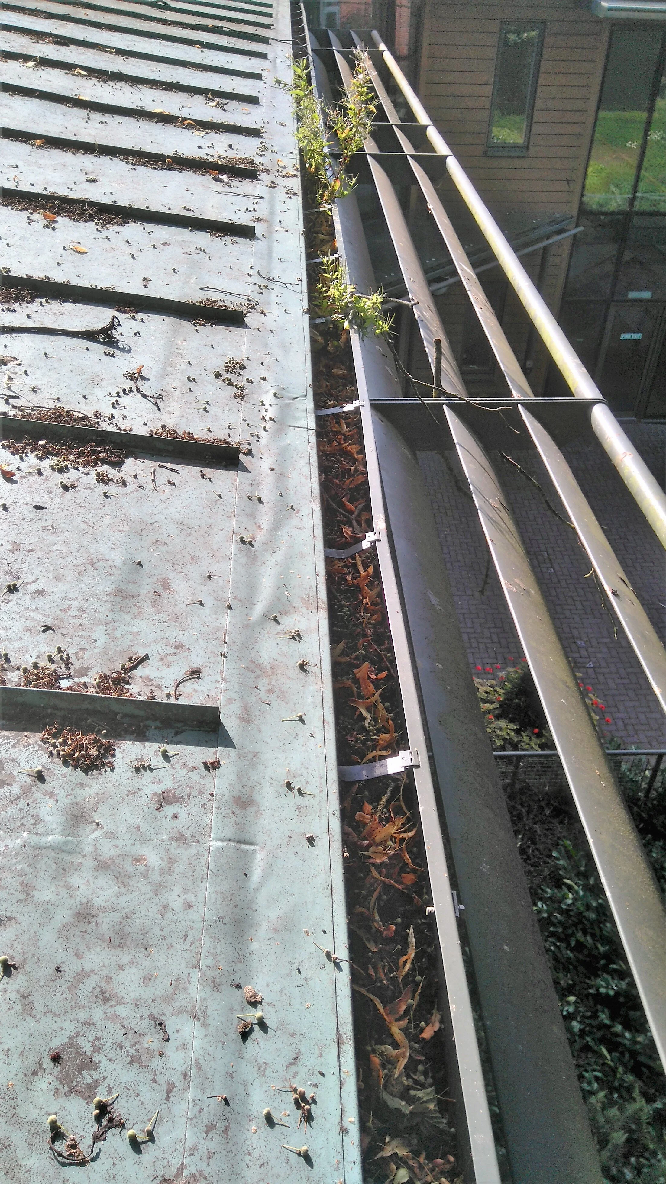 Gutter clearing before photo