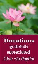 If you feel inspired to support Asha’s ministry in continuing to make her talks freely available online, please consider  making a donation here.