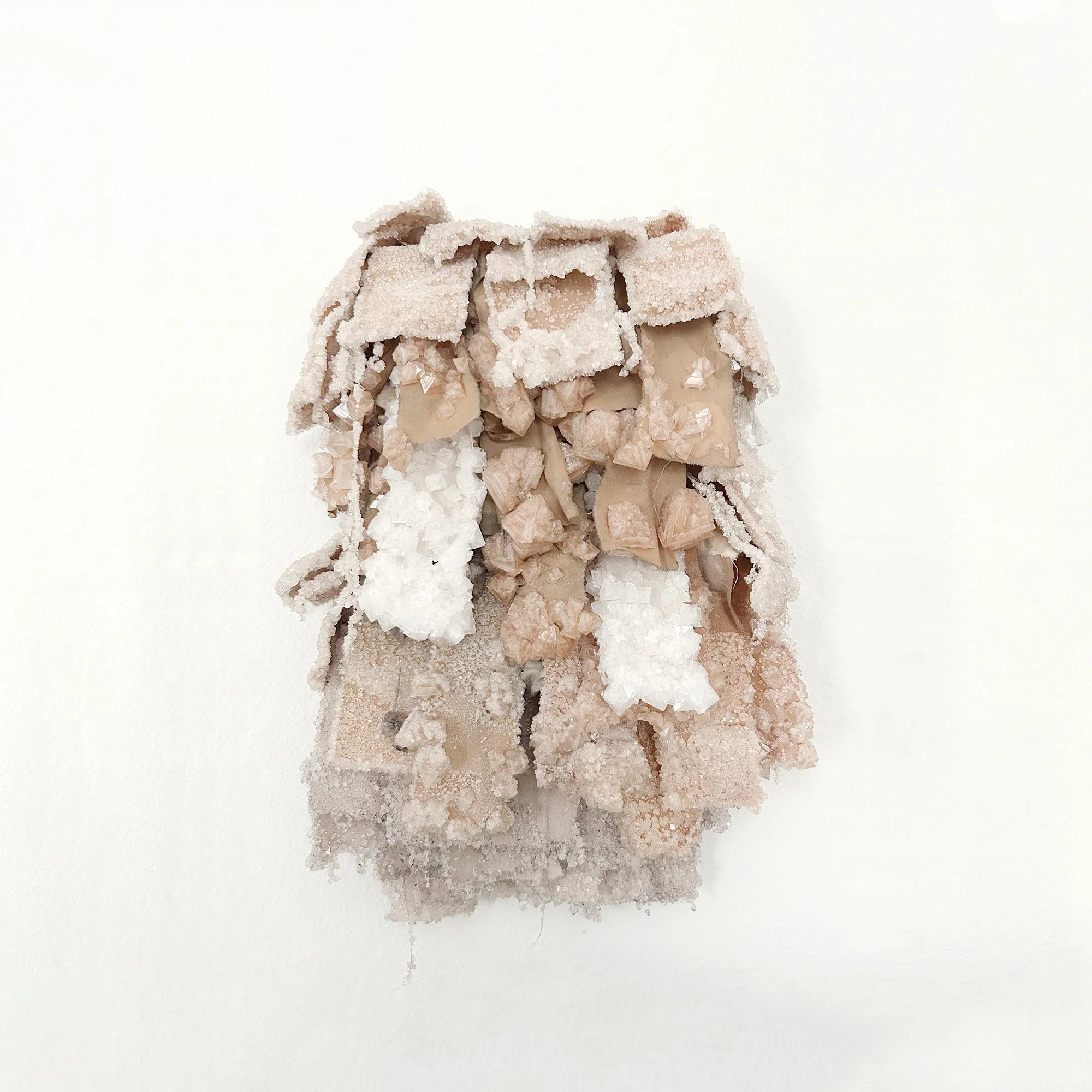 Brackish-1x1.jpg