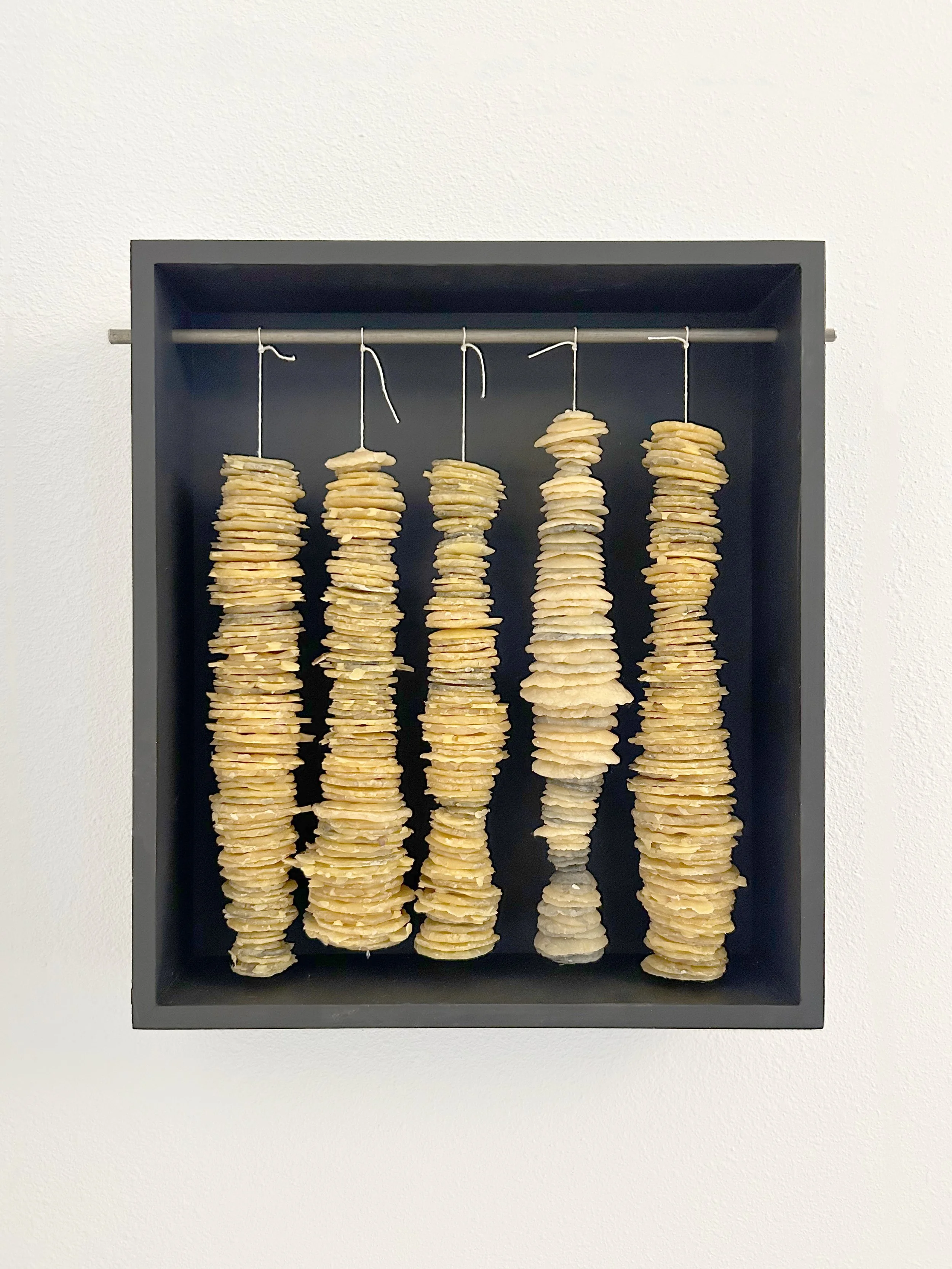 46 Hoist
2023
Beeswax, wood, paint, cotton twine
15.5 x 16 x 3.75 in.