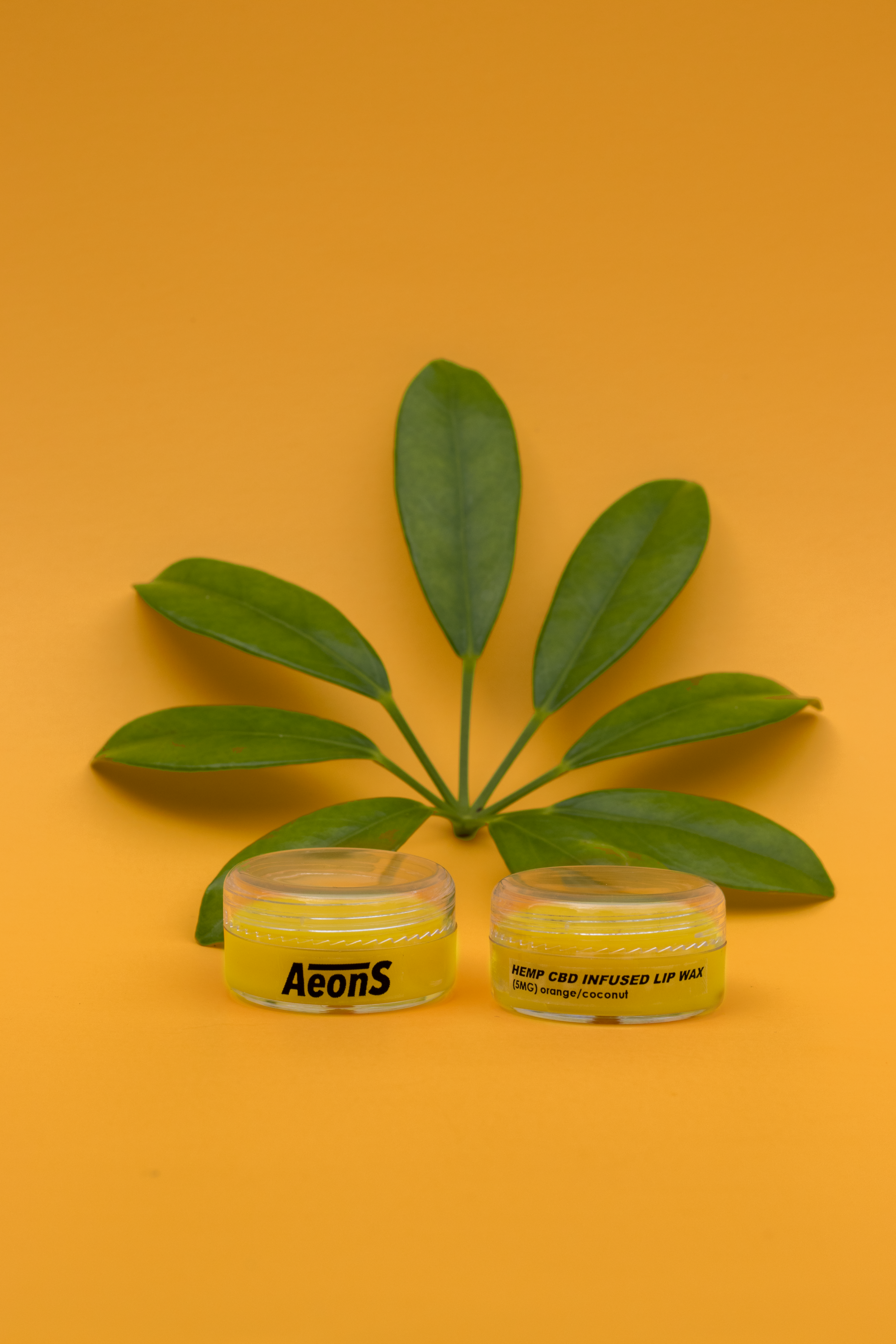 Hemp CBD Infused Lip Wax (Orange/Coconut)