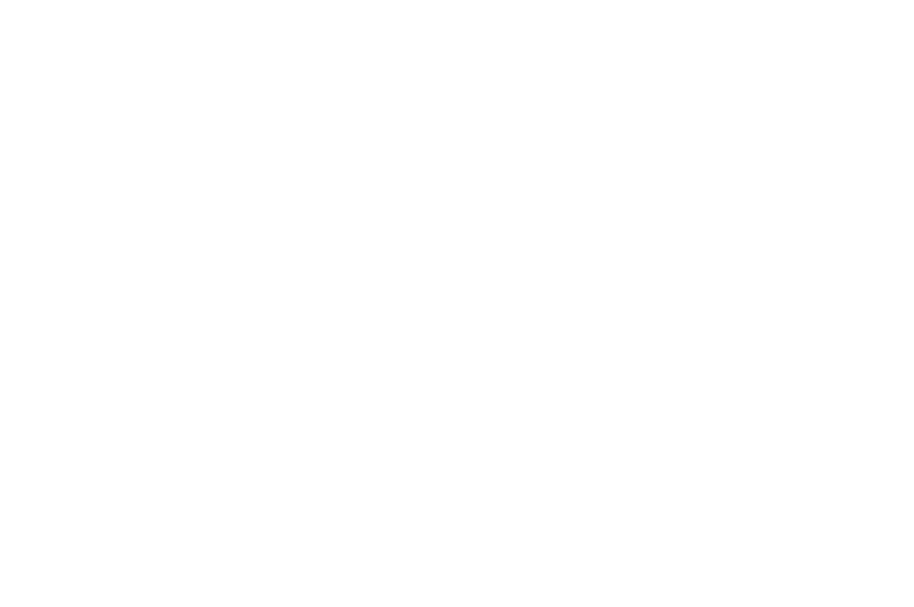 THE LONELY BROCCOLI